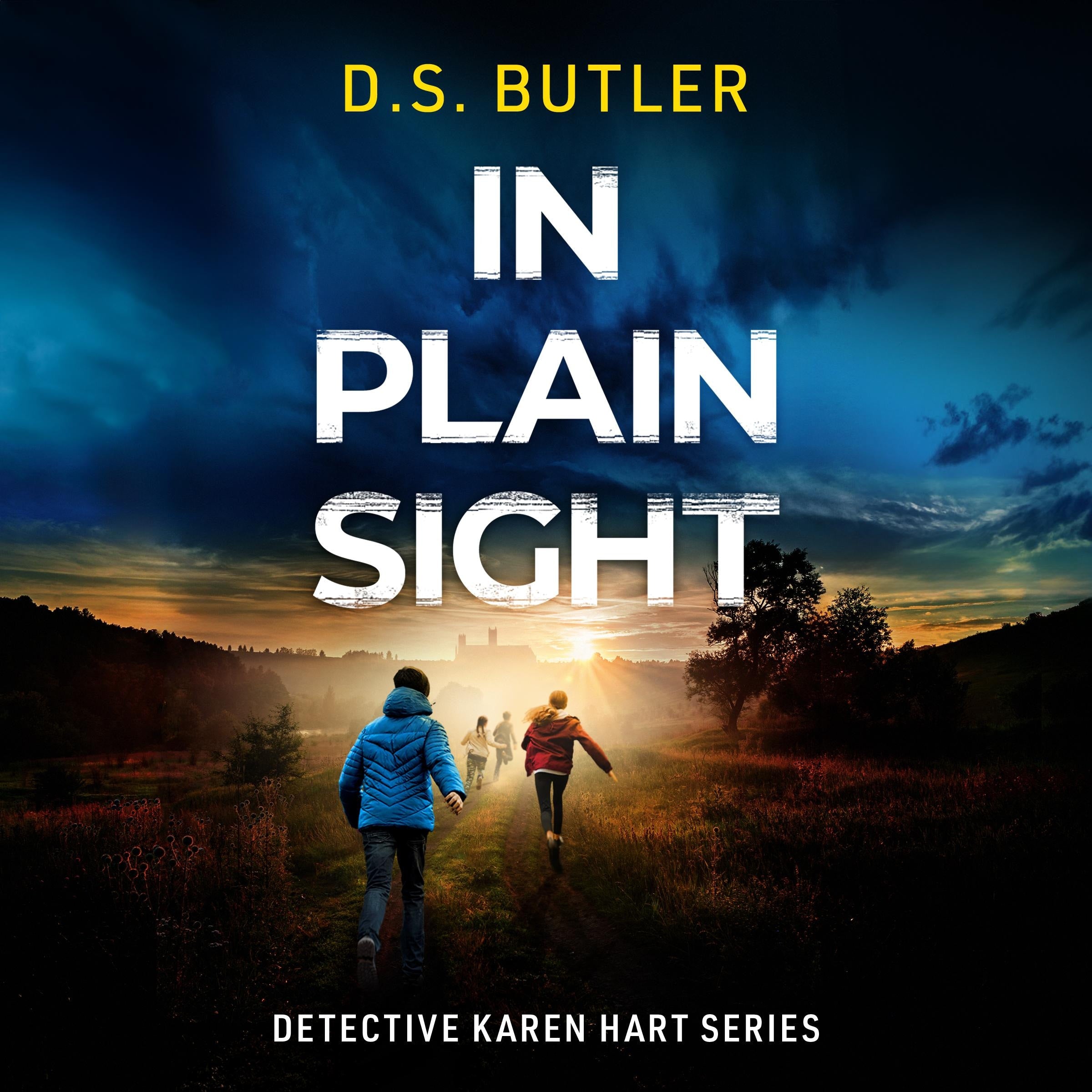 In Plain Sight
