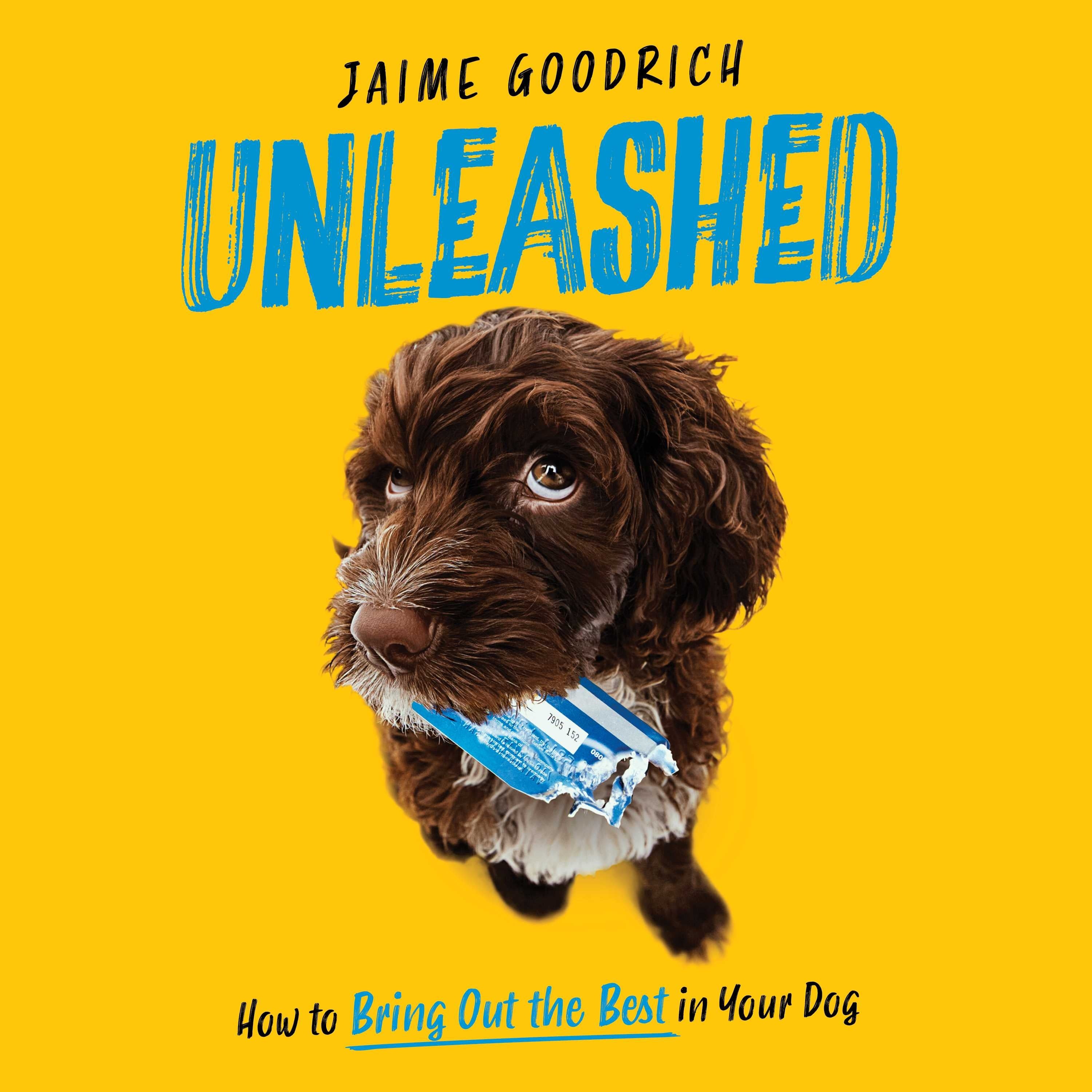 Unleashed