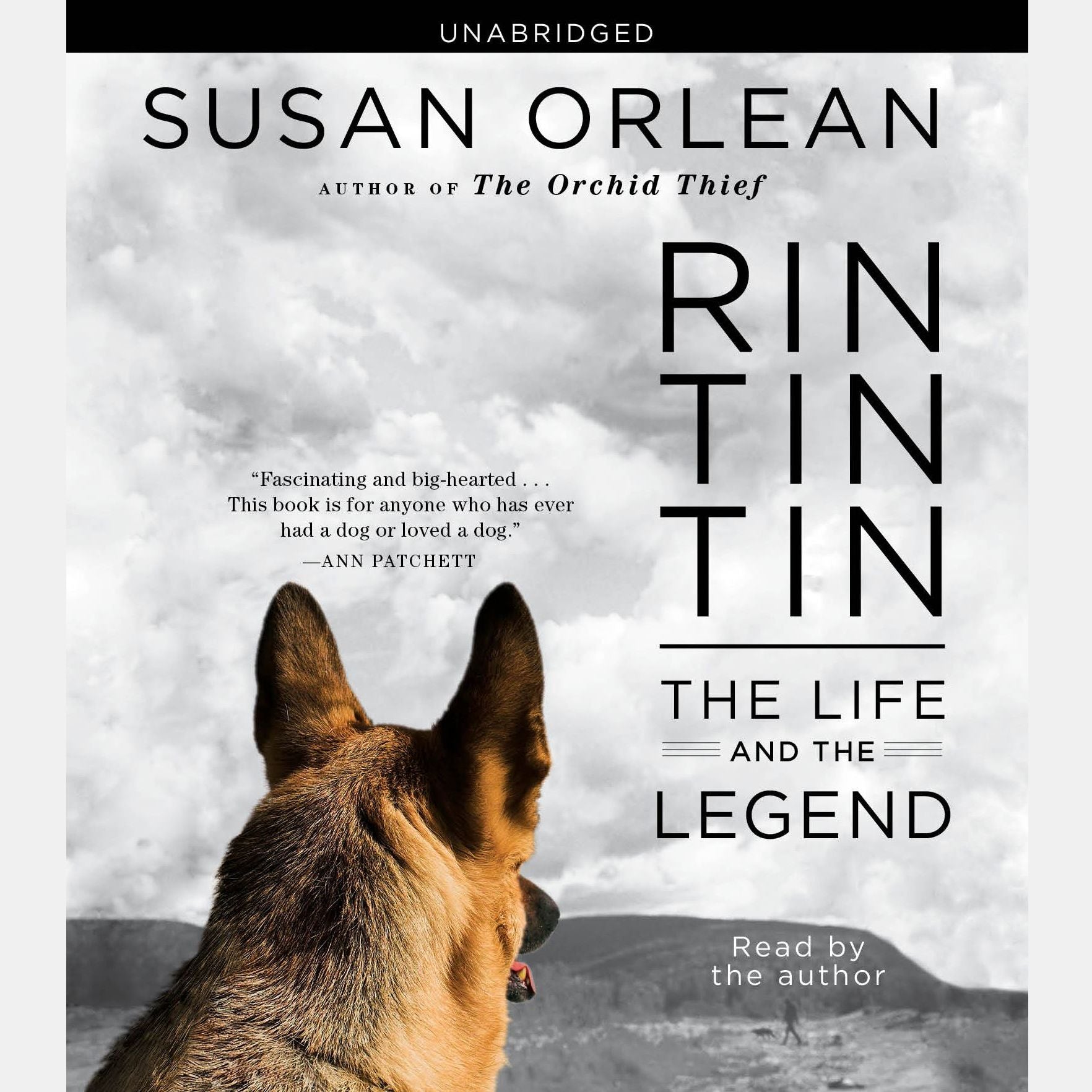 Rin Tin Tin