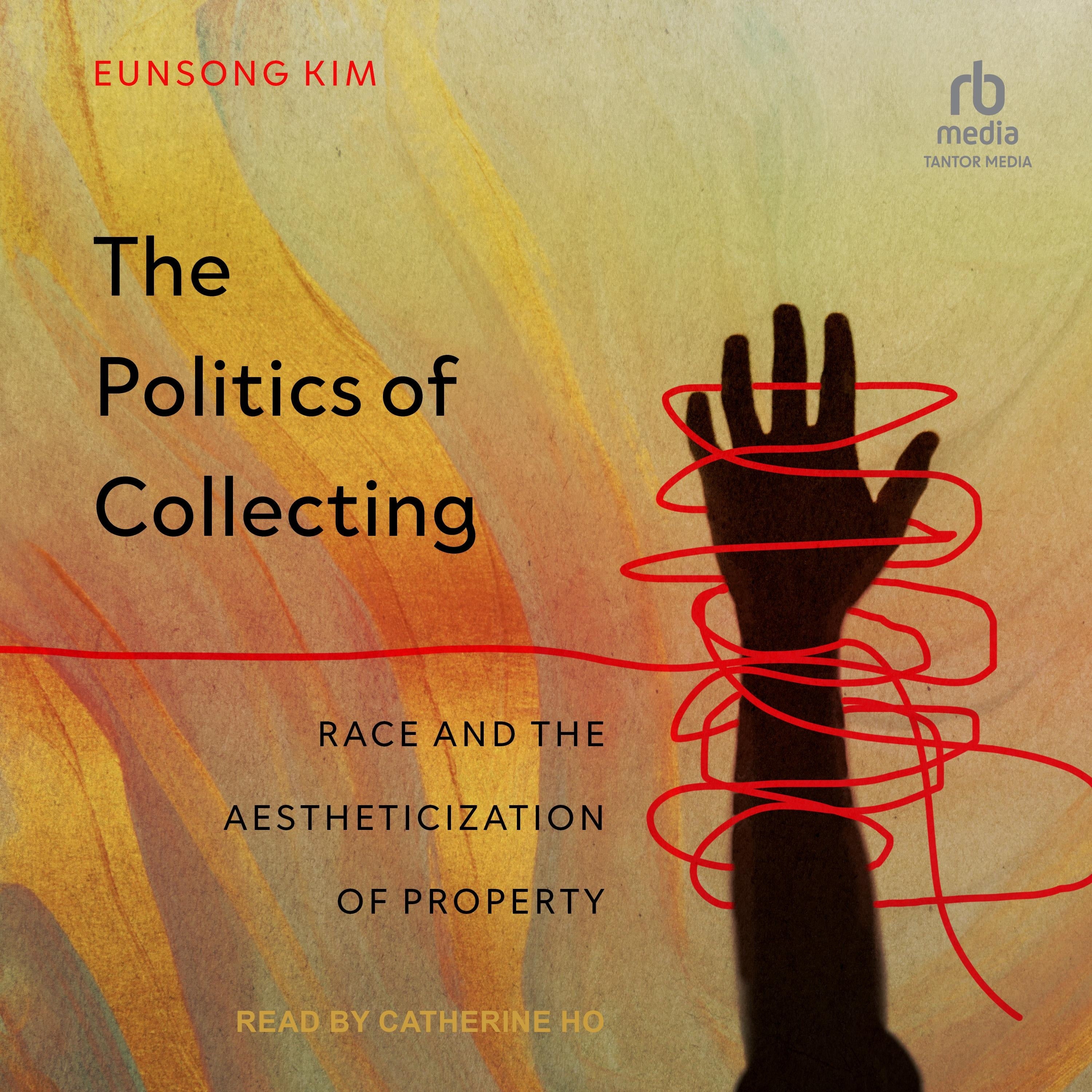The Politics of Collecting