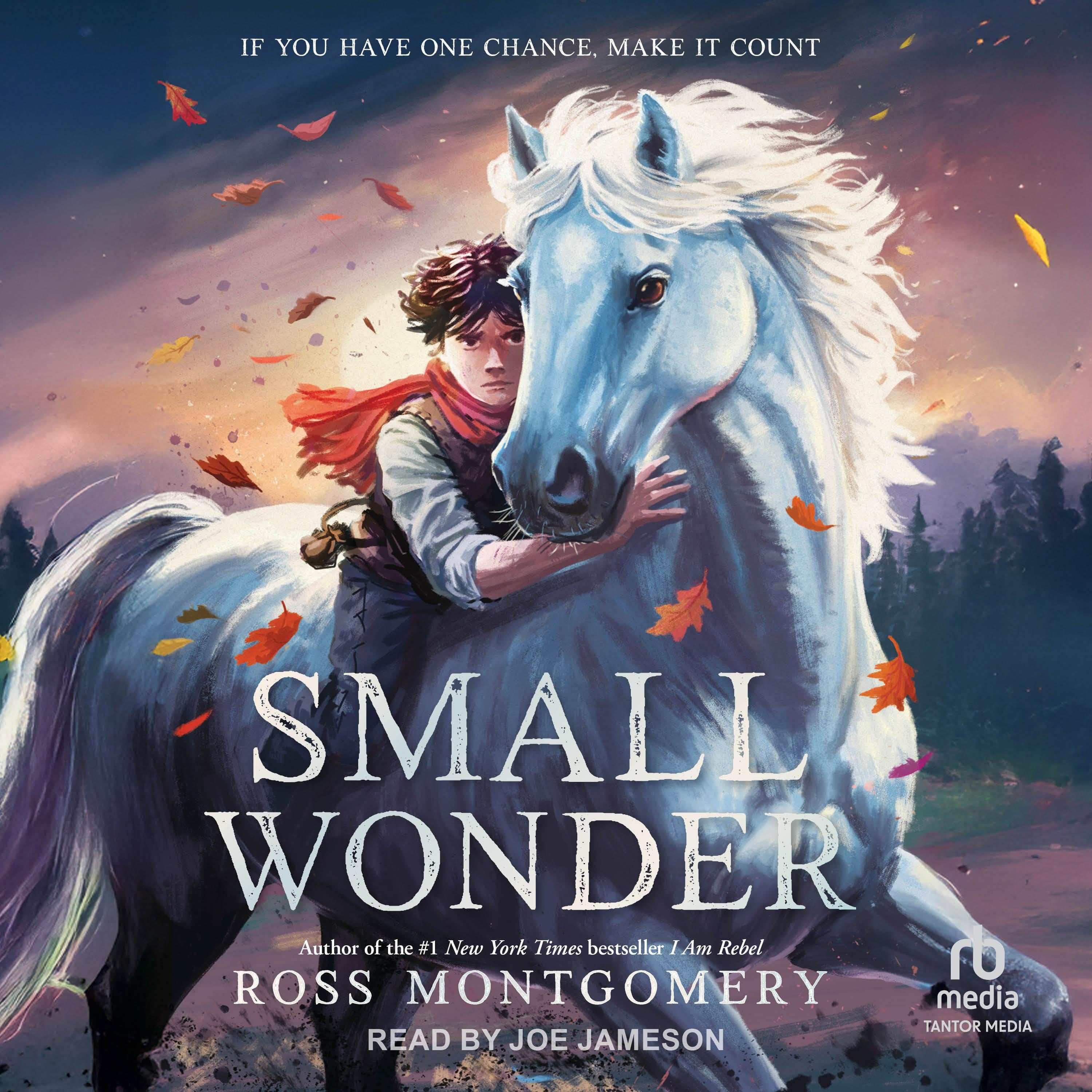 Small Wonder