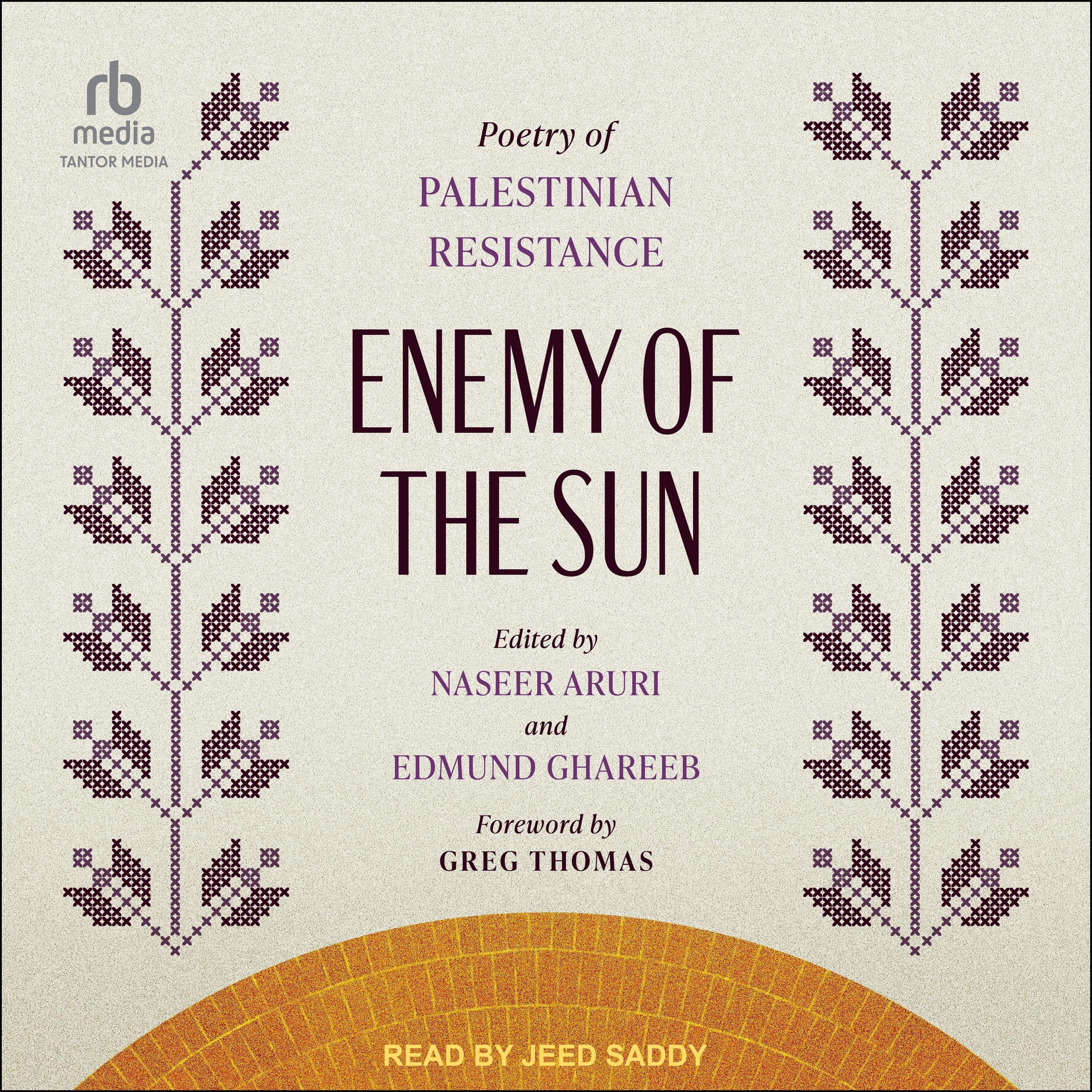Enemy of the Sun