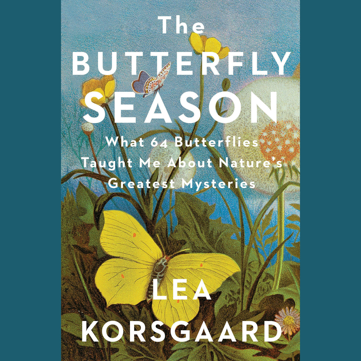 The Butterfly Season