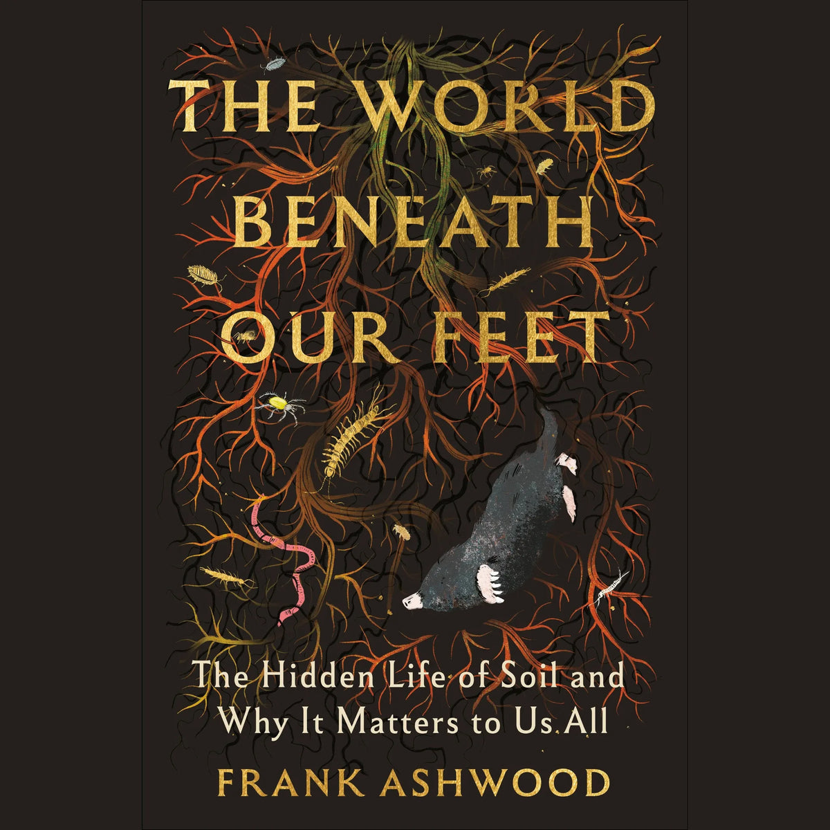The World Beneath Our Feet