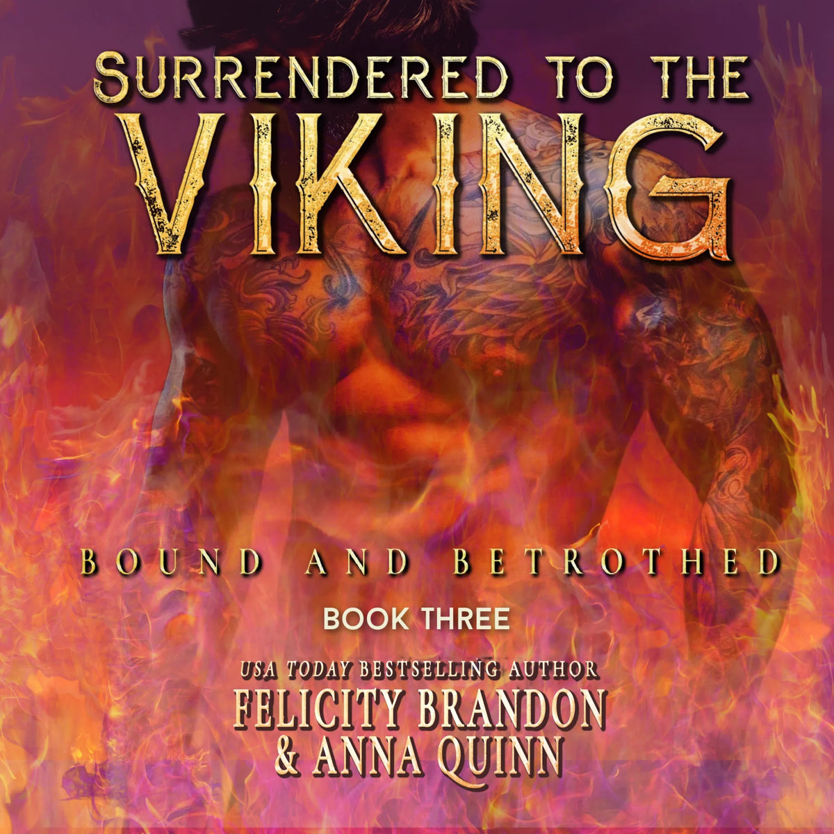 Surrendered to the Viking