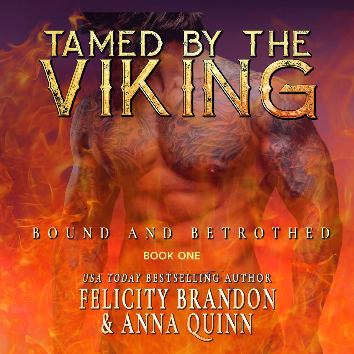 Tamed by the Viking