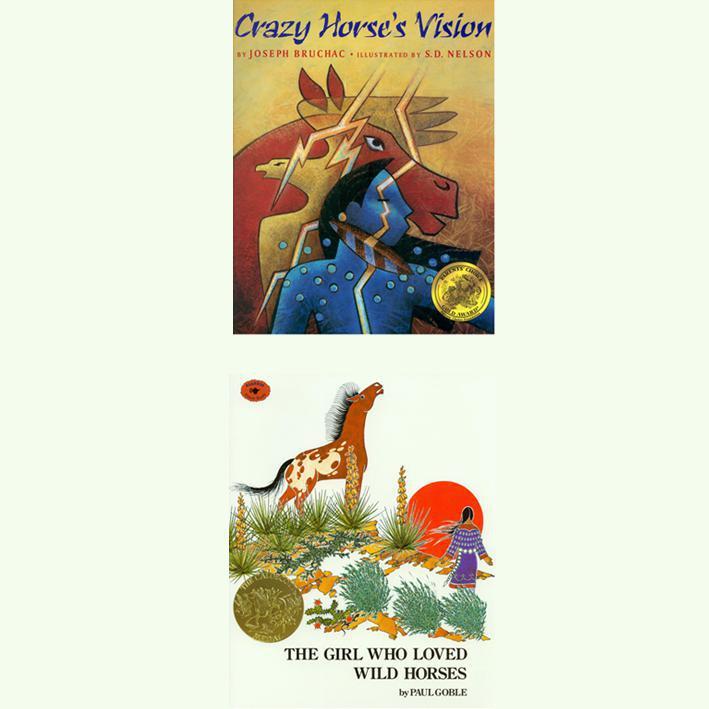 Girl Who Loved Wild Horses / Crazy Horses Vision