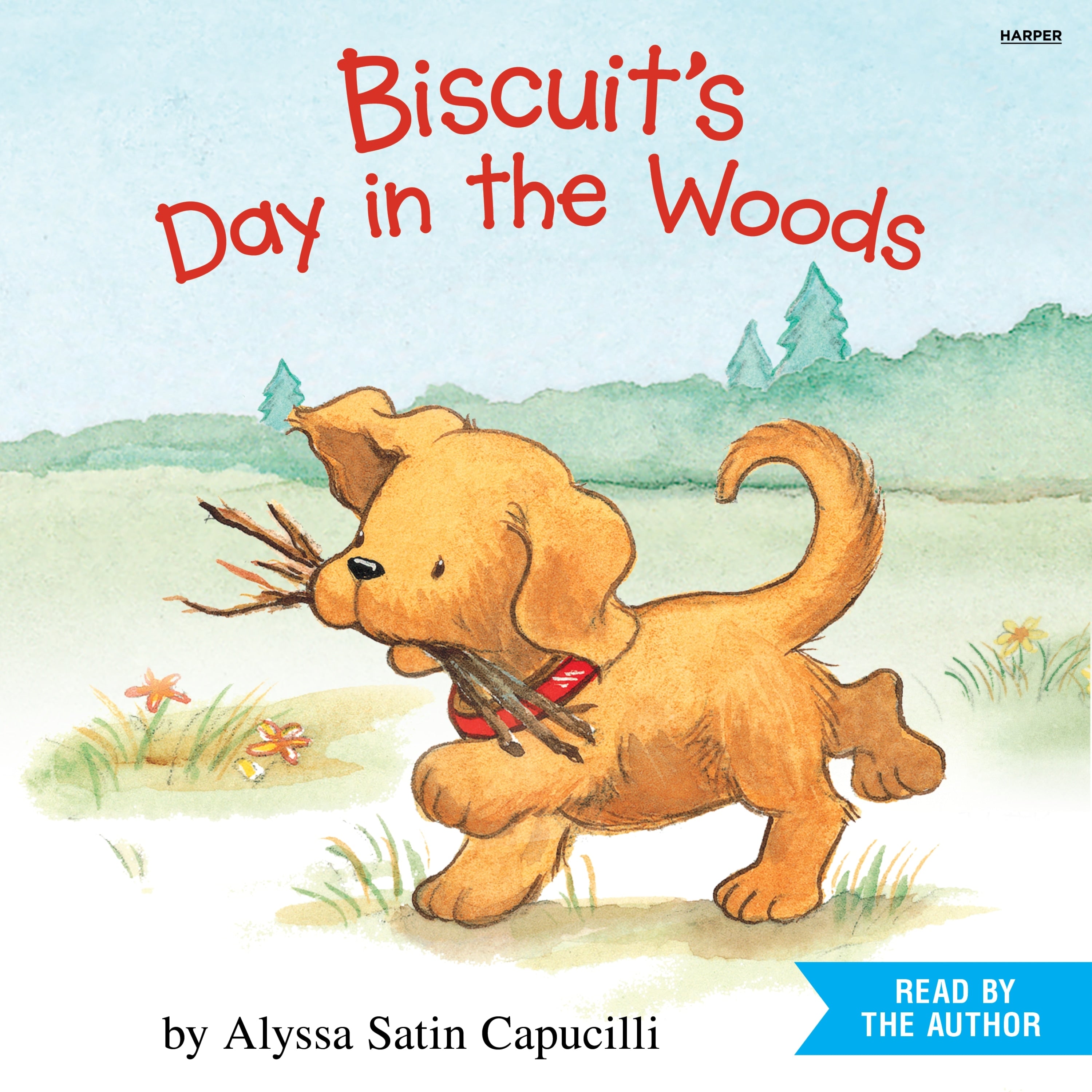 Biscuit's Day in the Woods (I Can Read Phonics)