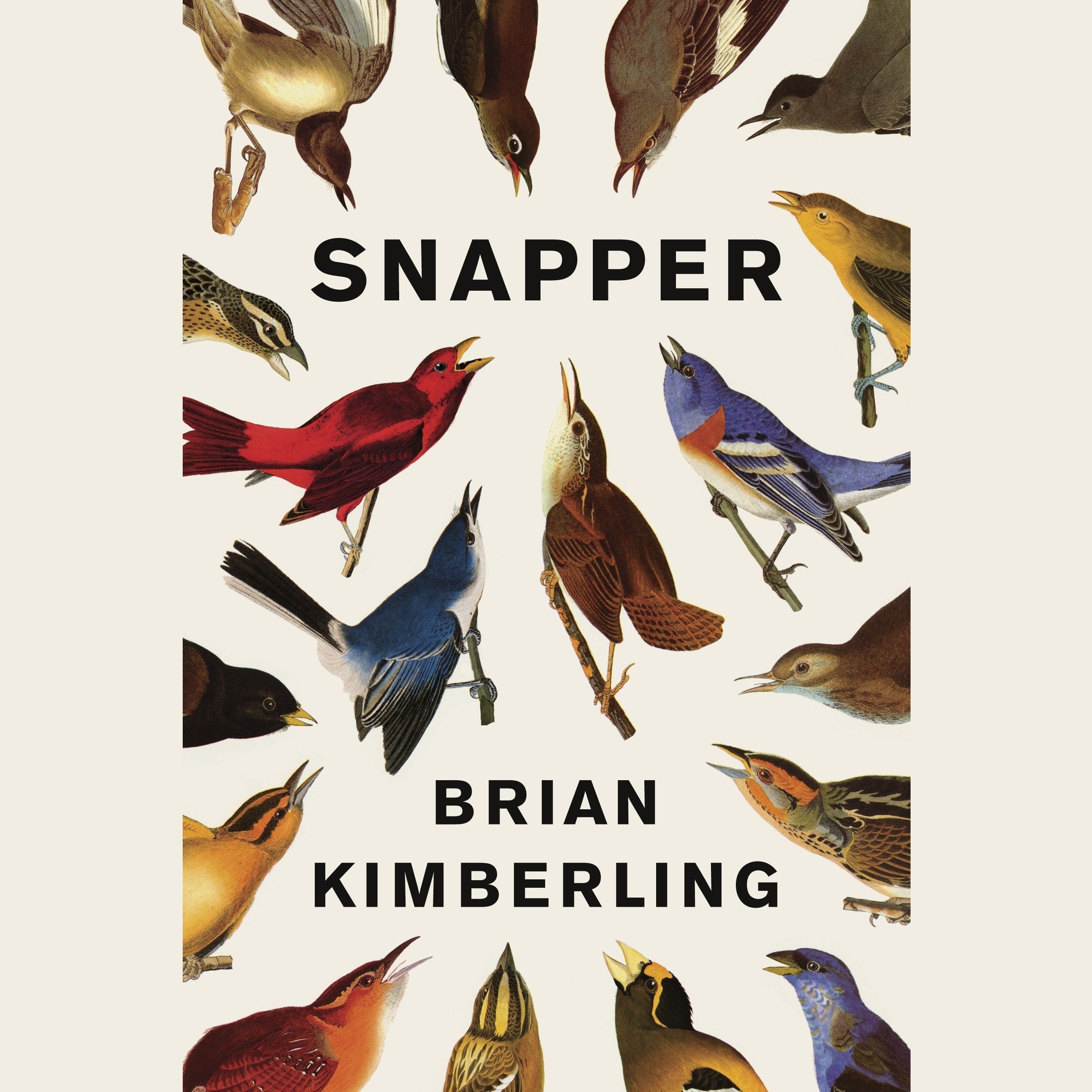 Snapper