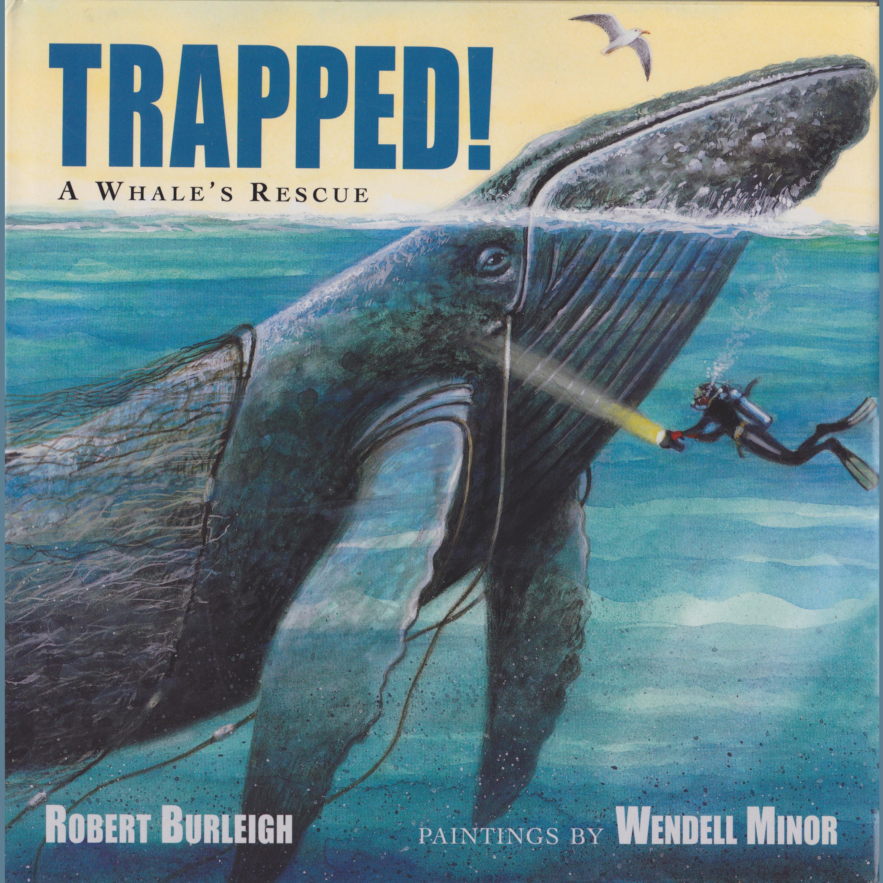Trapped!