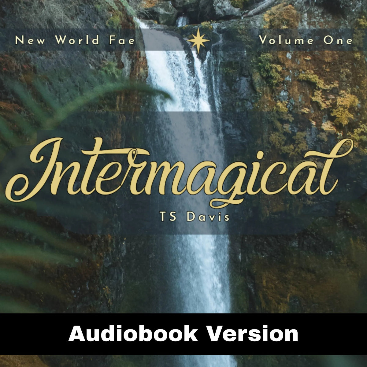 Intermagical