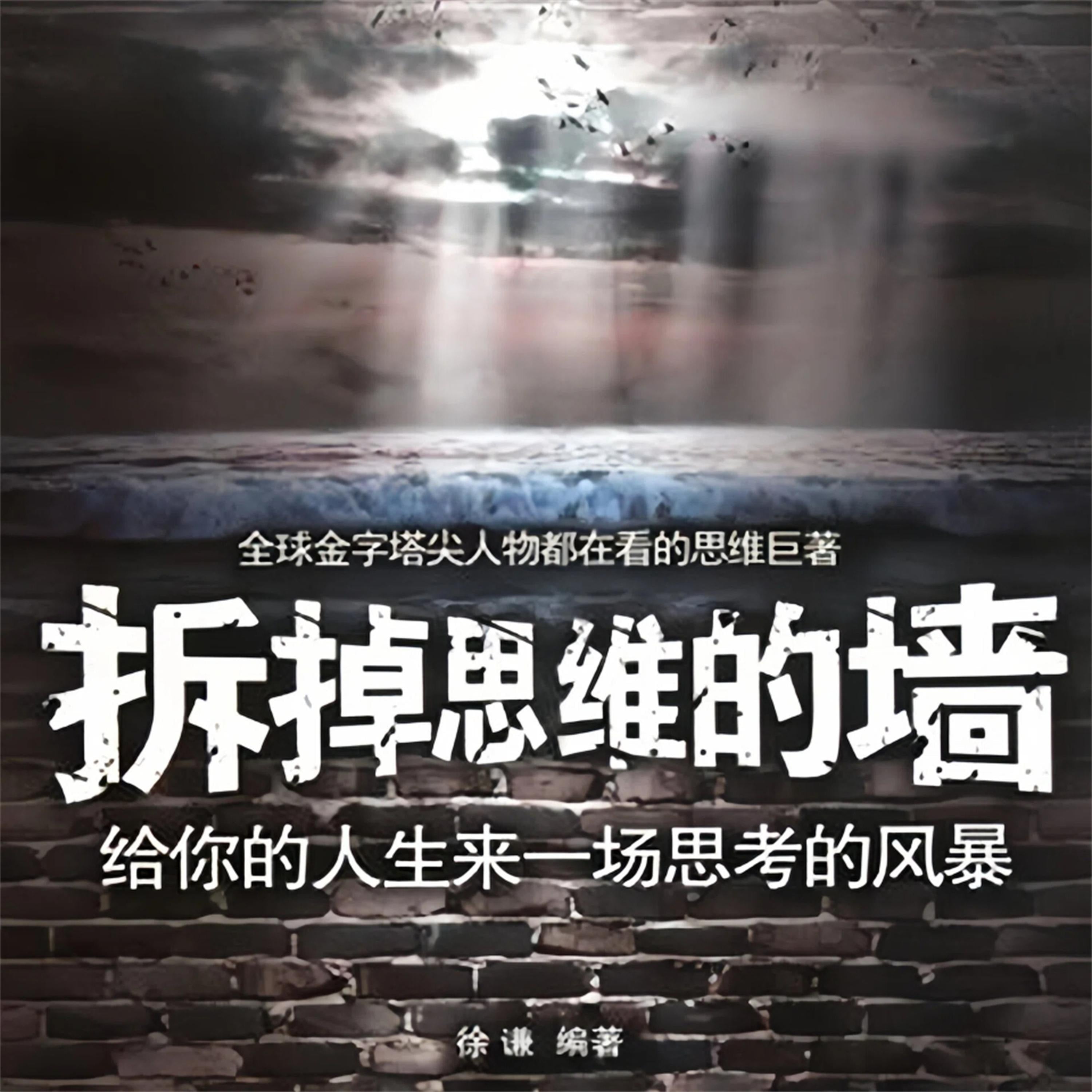 拆掉思维的墙：给你的人生来一场思考的风暴