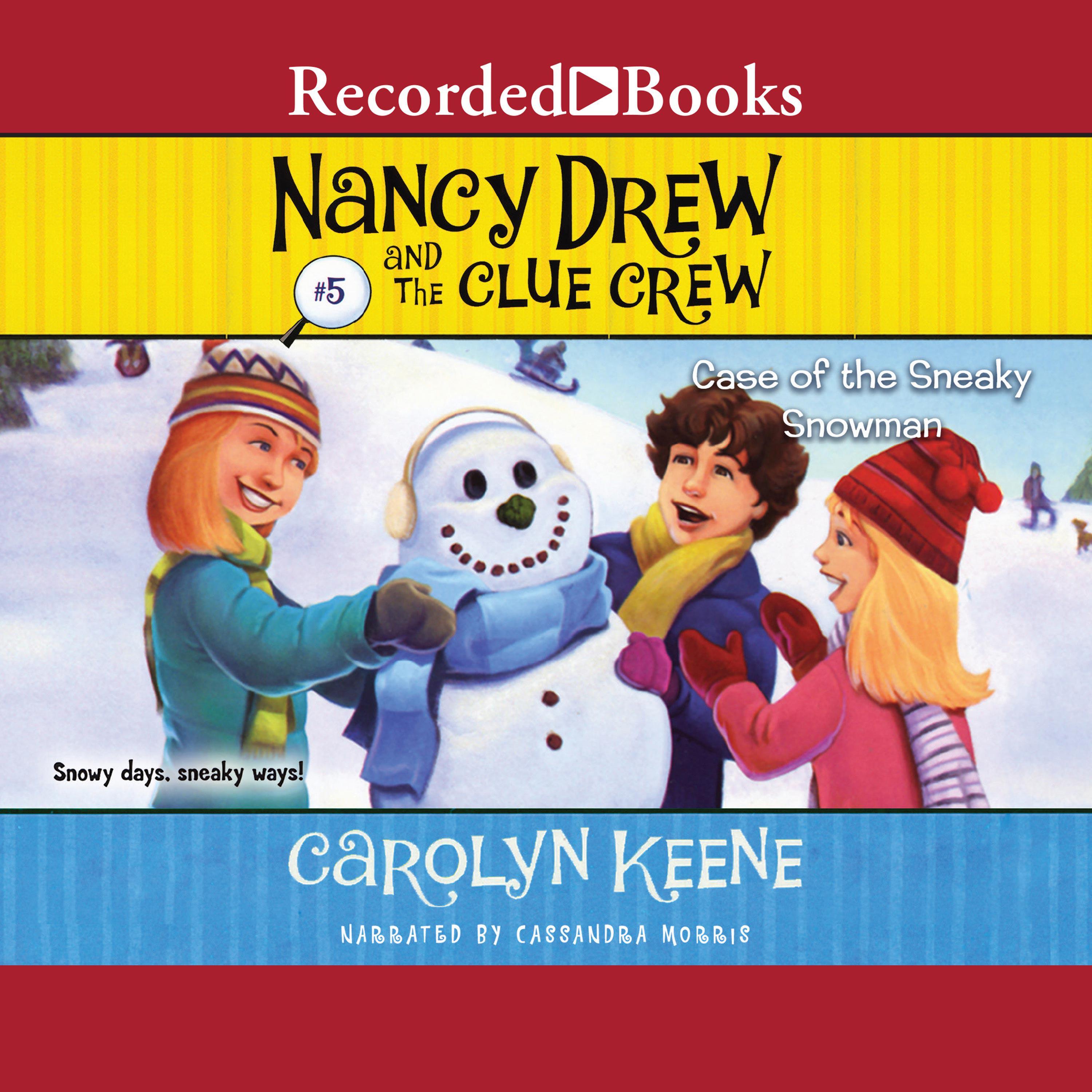 The Case of the Sneaky Snowman