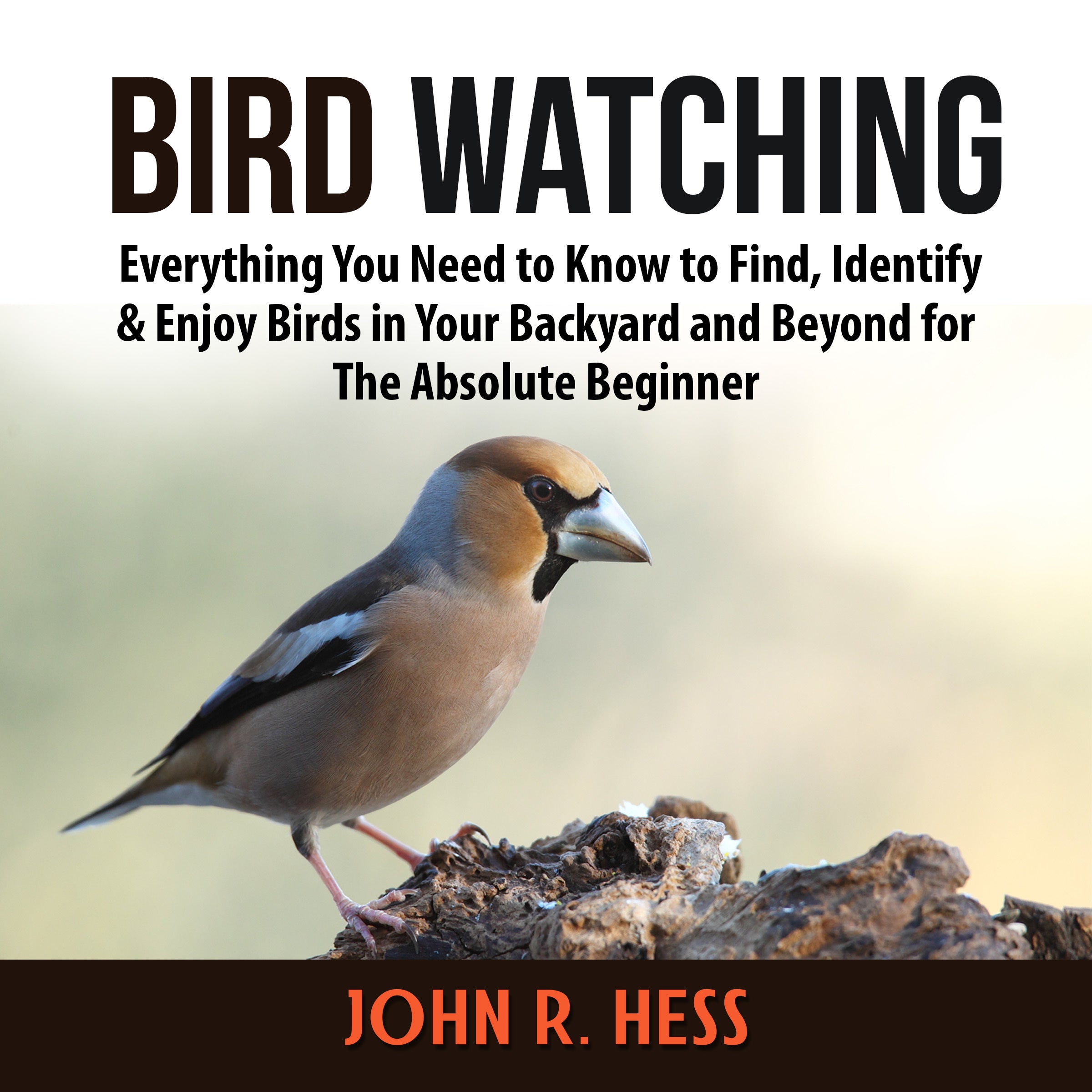 Bird Watching