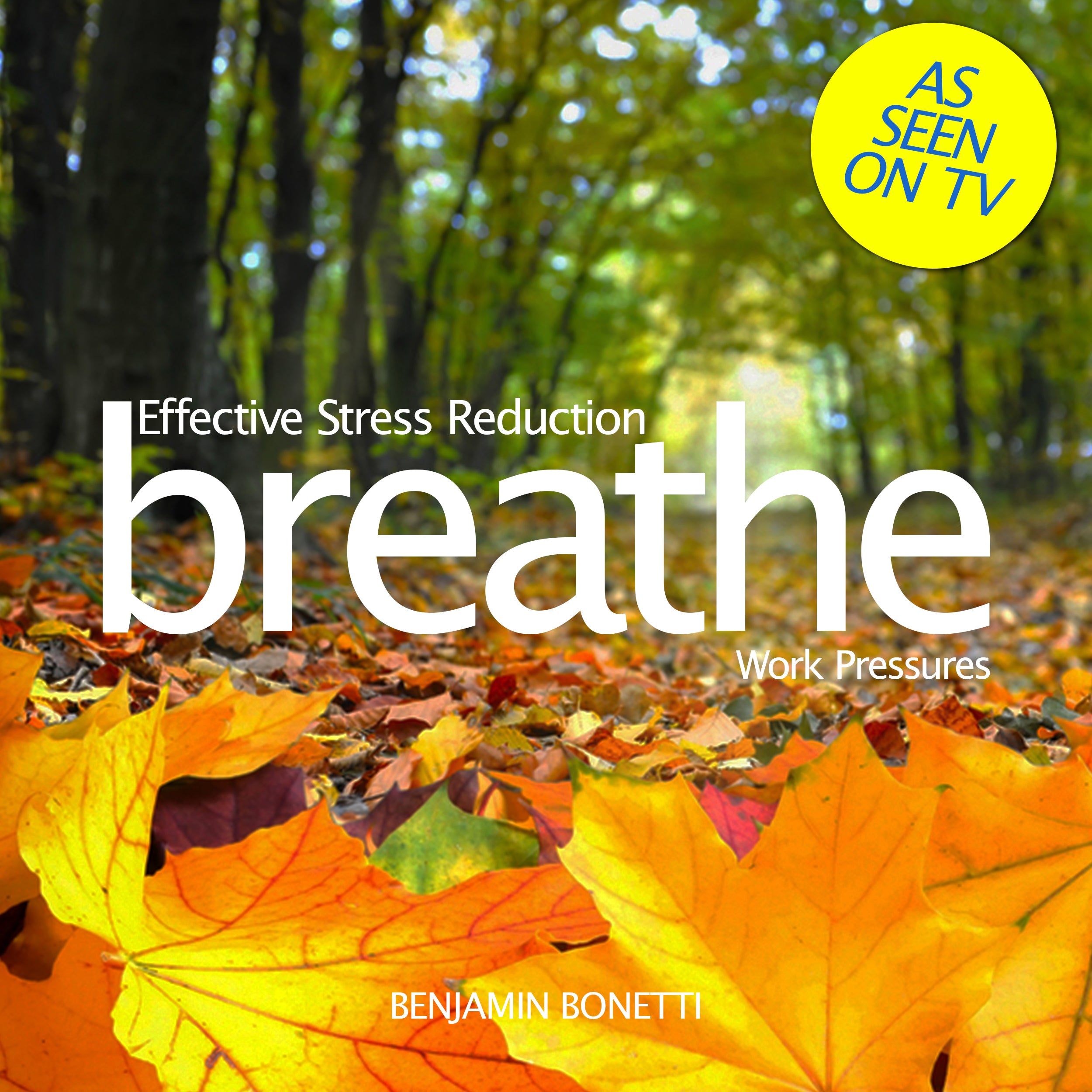 Breathe—Effective Stress Reduction: Work Pressures
