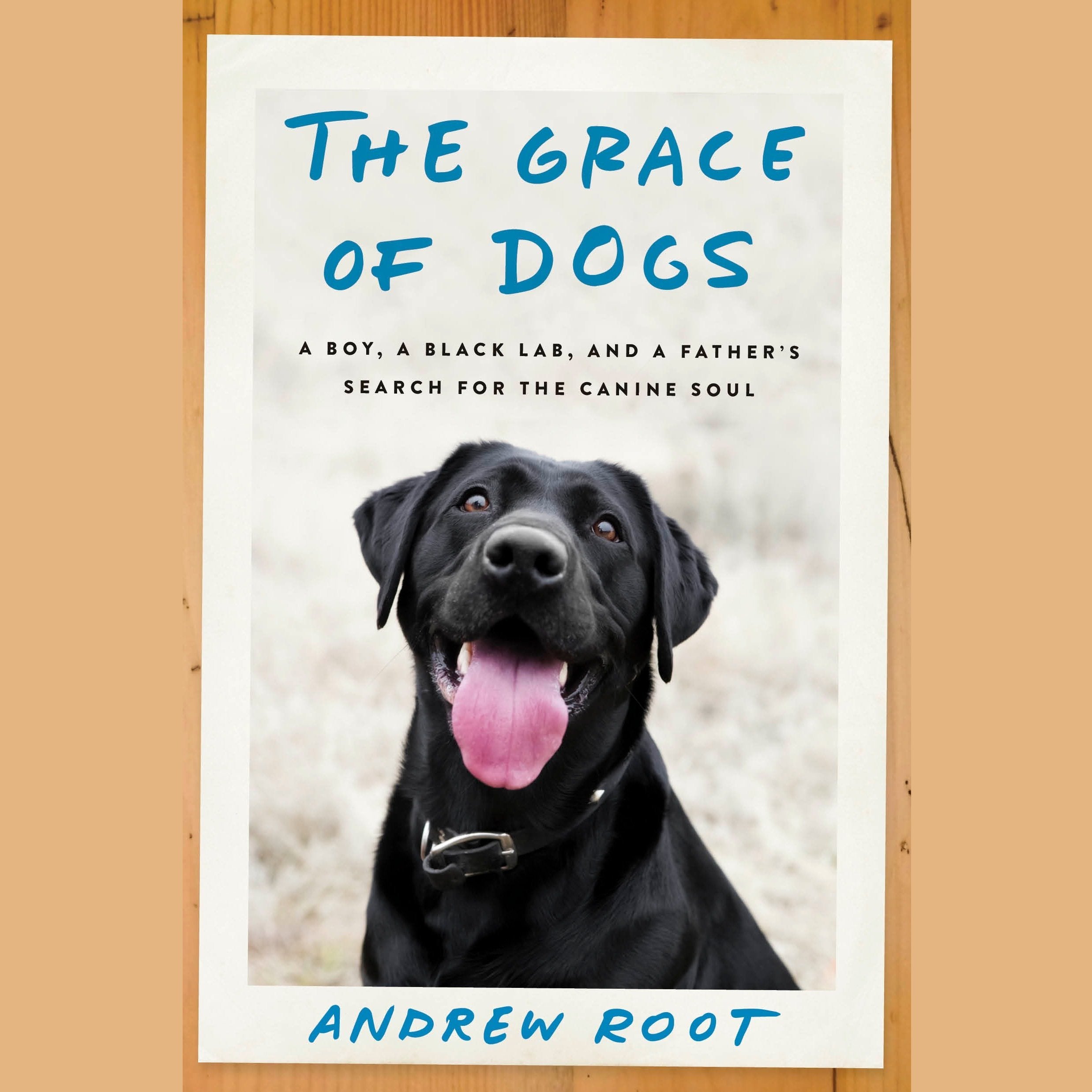 The Grace of Dogs