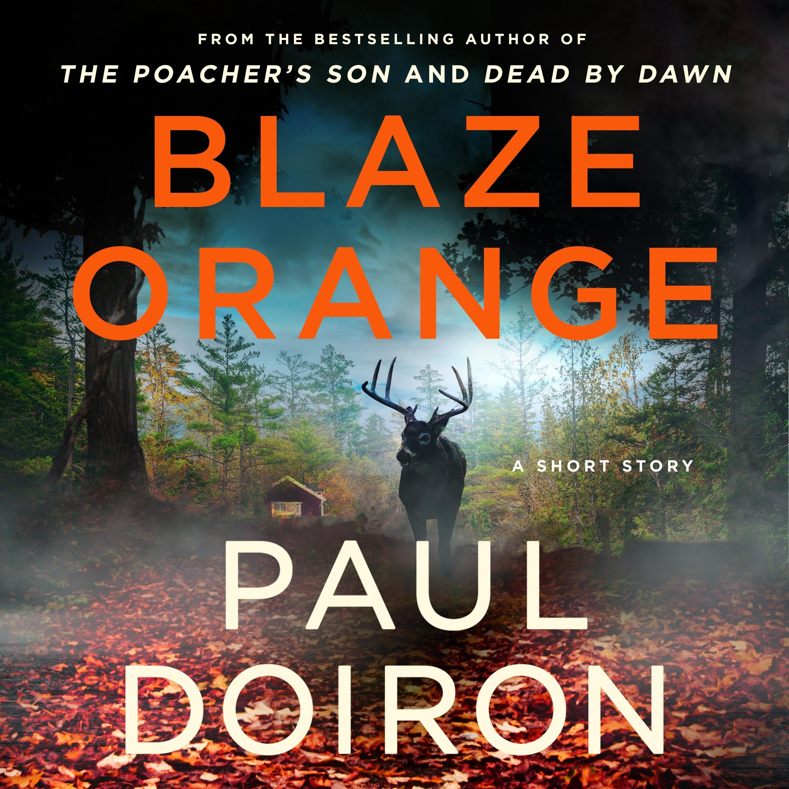 Blaze Orange