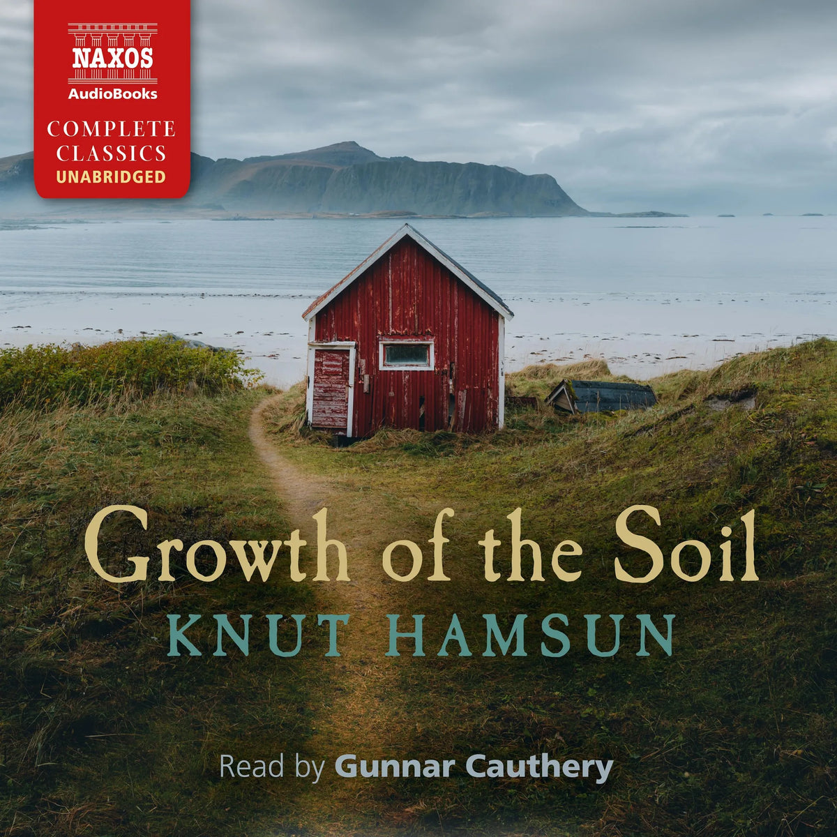 Growth of the Soil