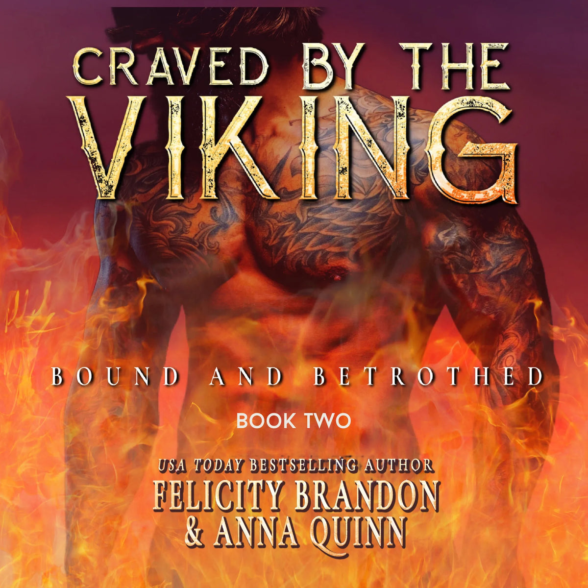 Craved by the Viking