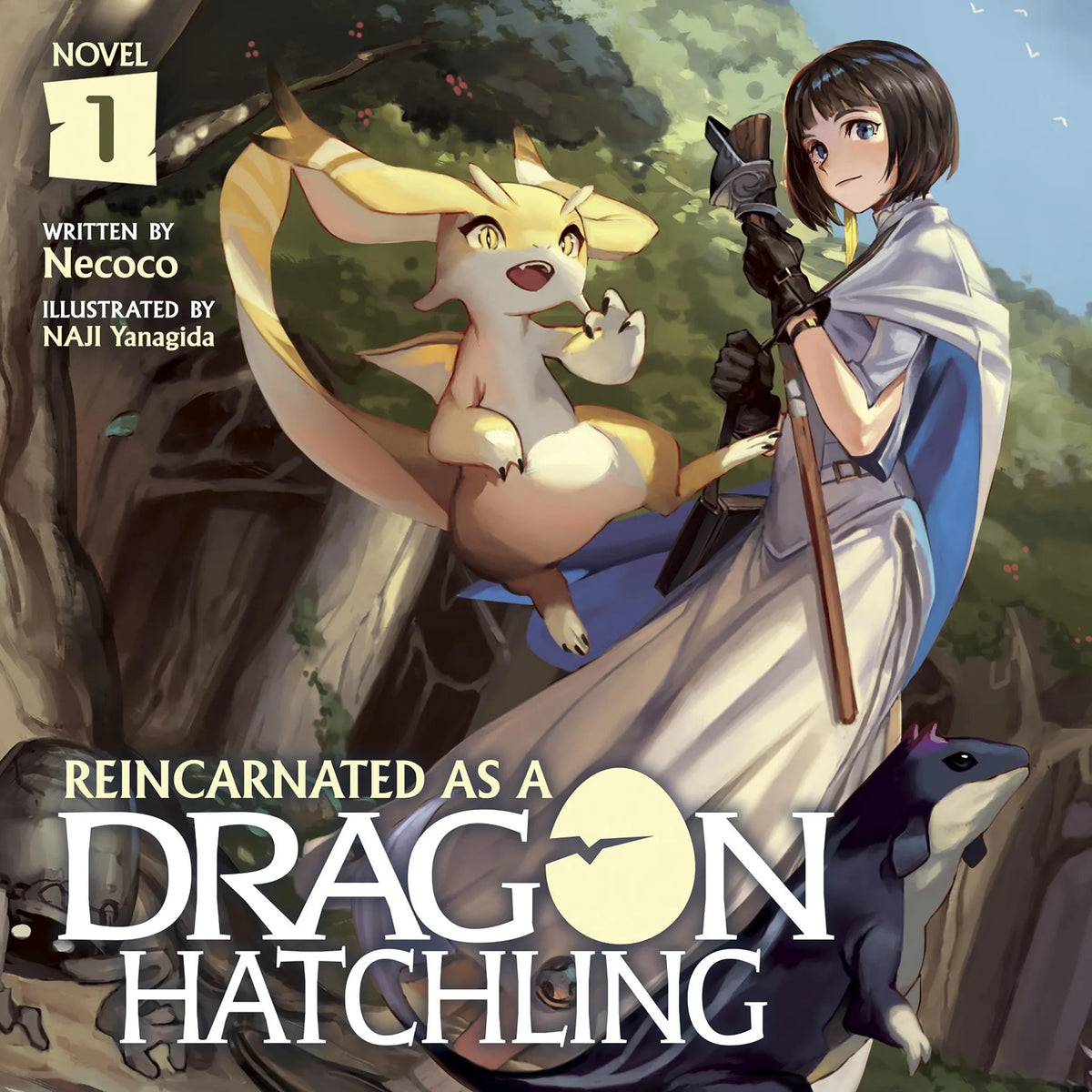 Reincarnated as a Dragon Hatchling (Light Novel) Vol. 1