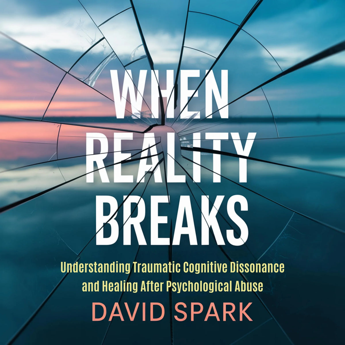 When Reality Breaks