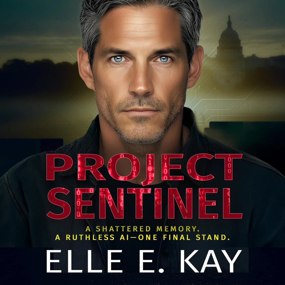 Project Sentinel