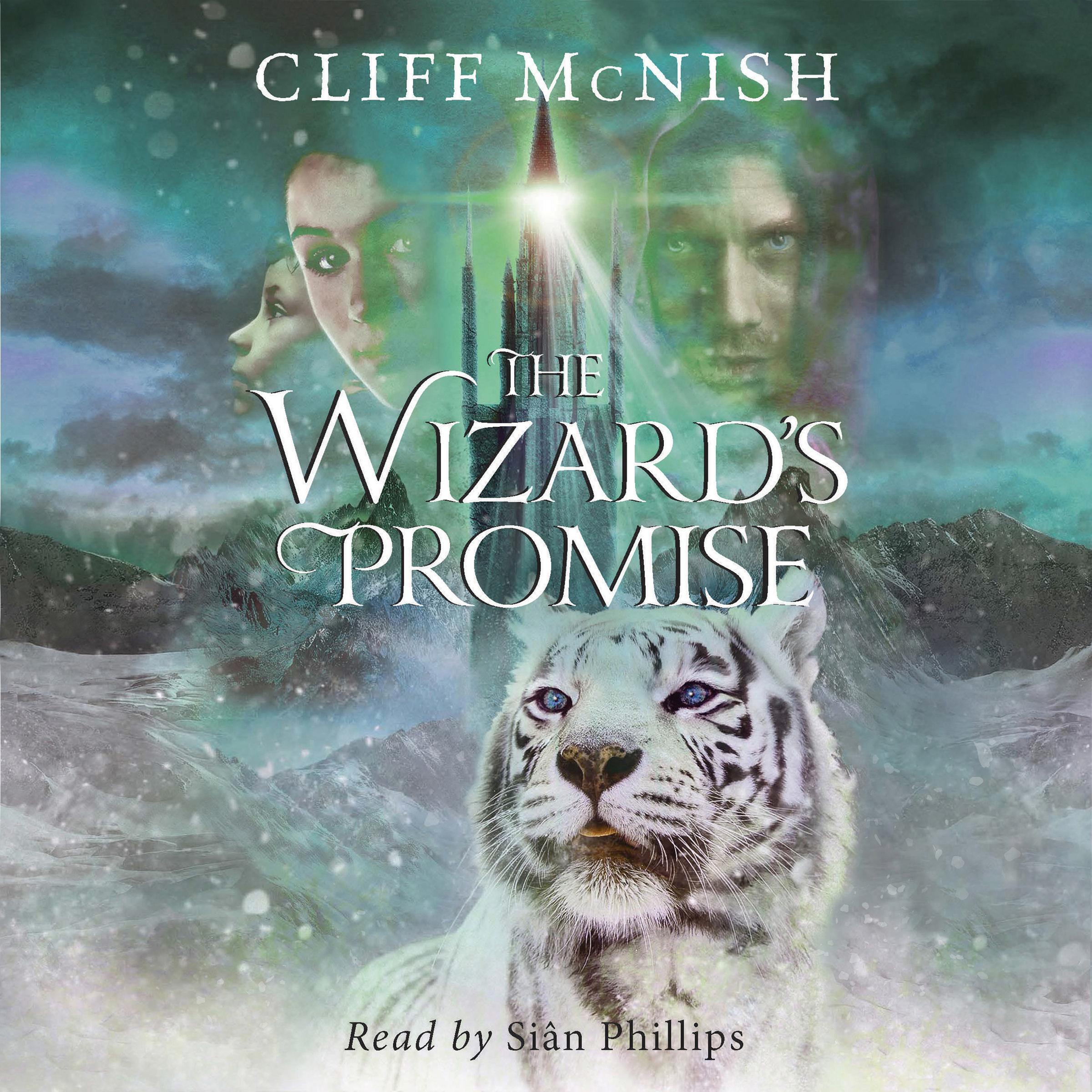 The Wizard’s Promise