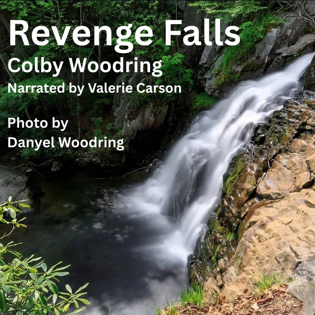 Revenge Falls