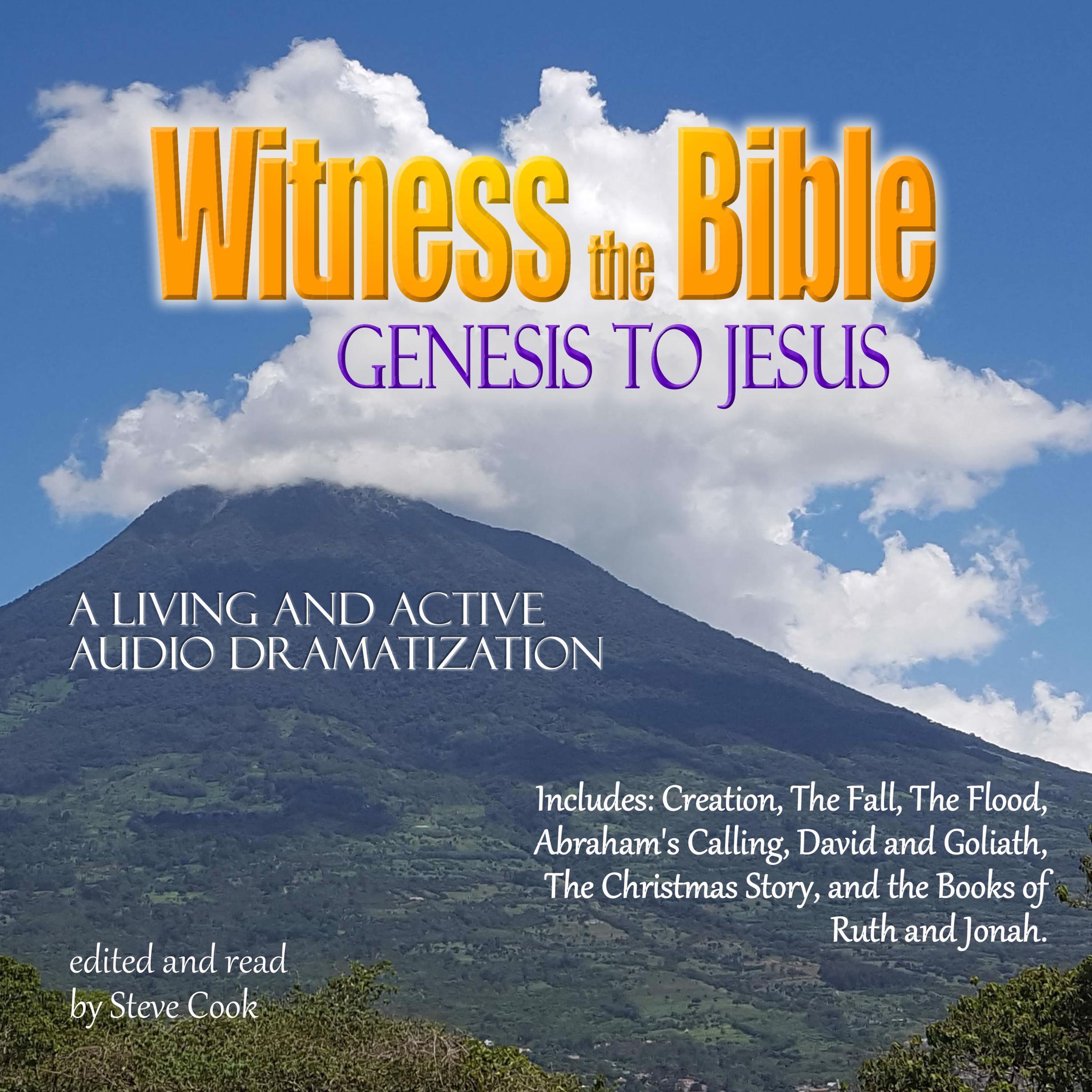 Witness the Bible