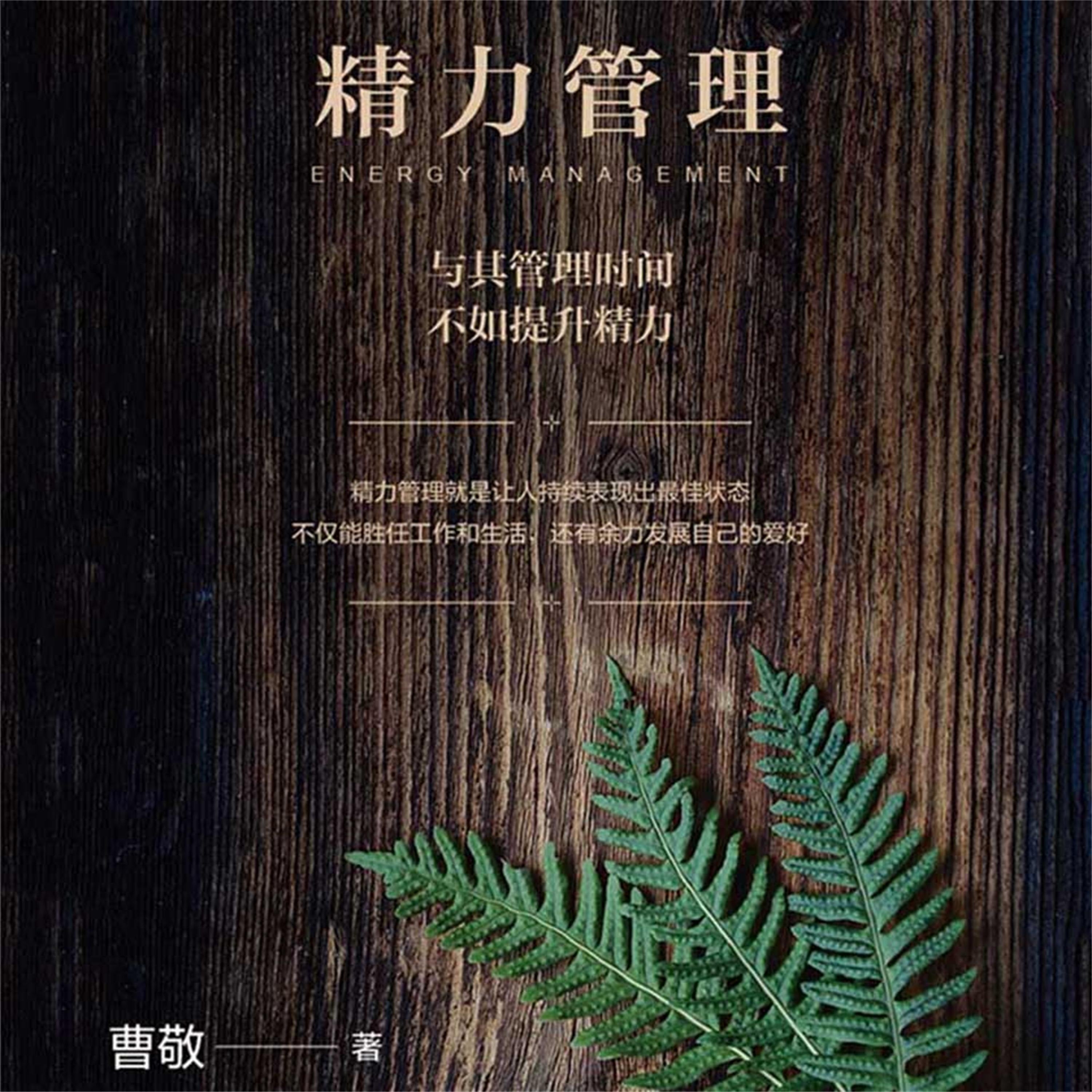 精力管理：与其管理时间，不如提升精力
