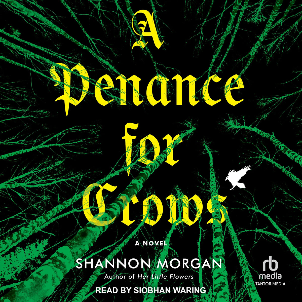 A Penance for Crows