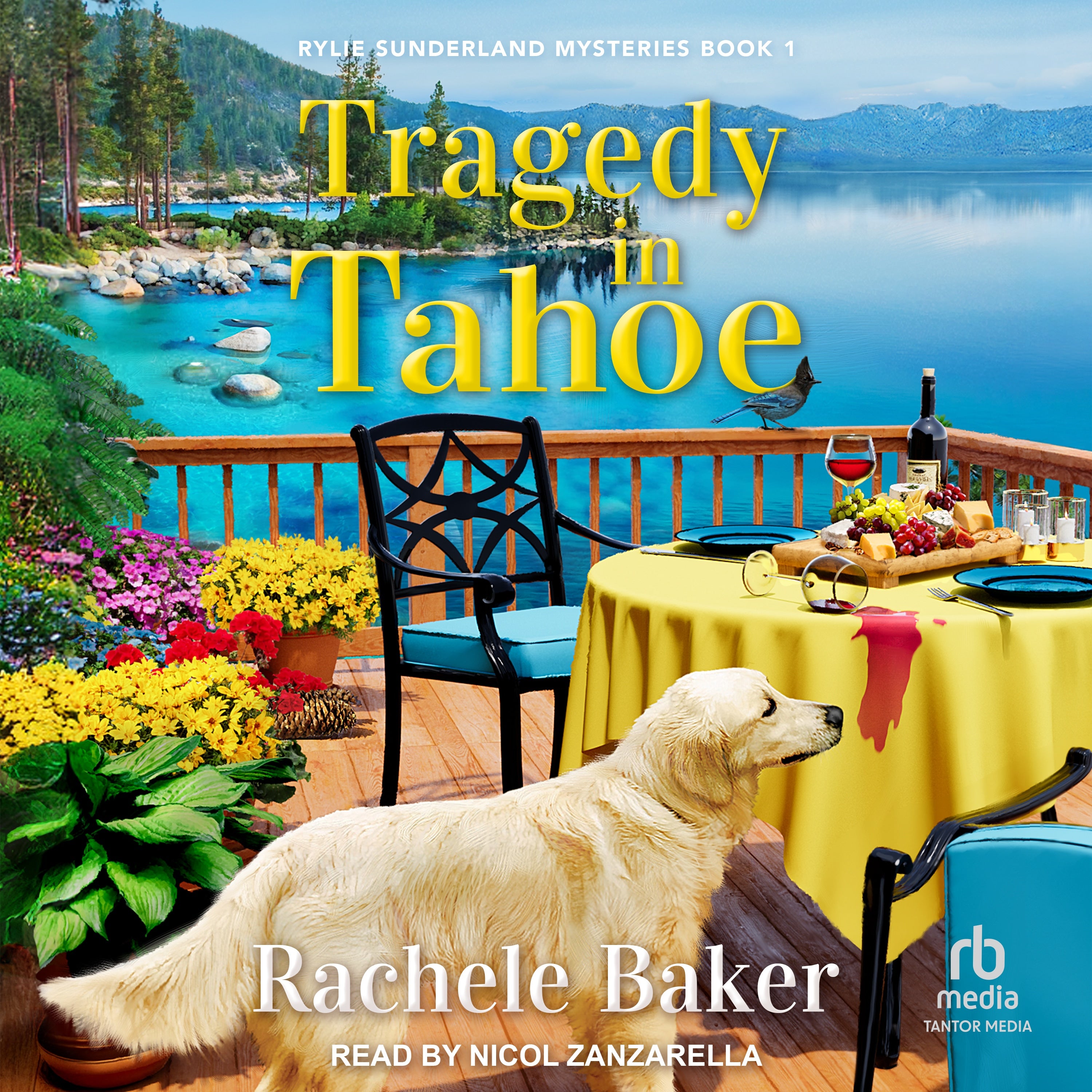 Tragedy in Tahoe