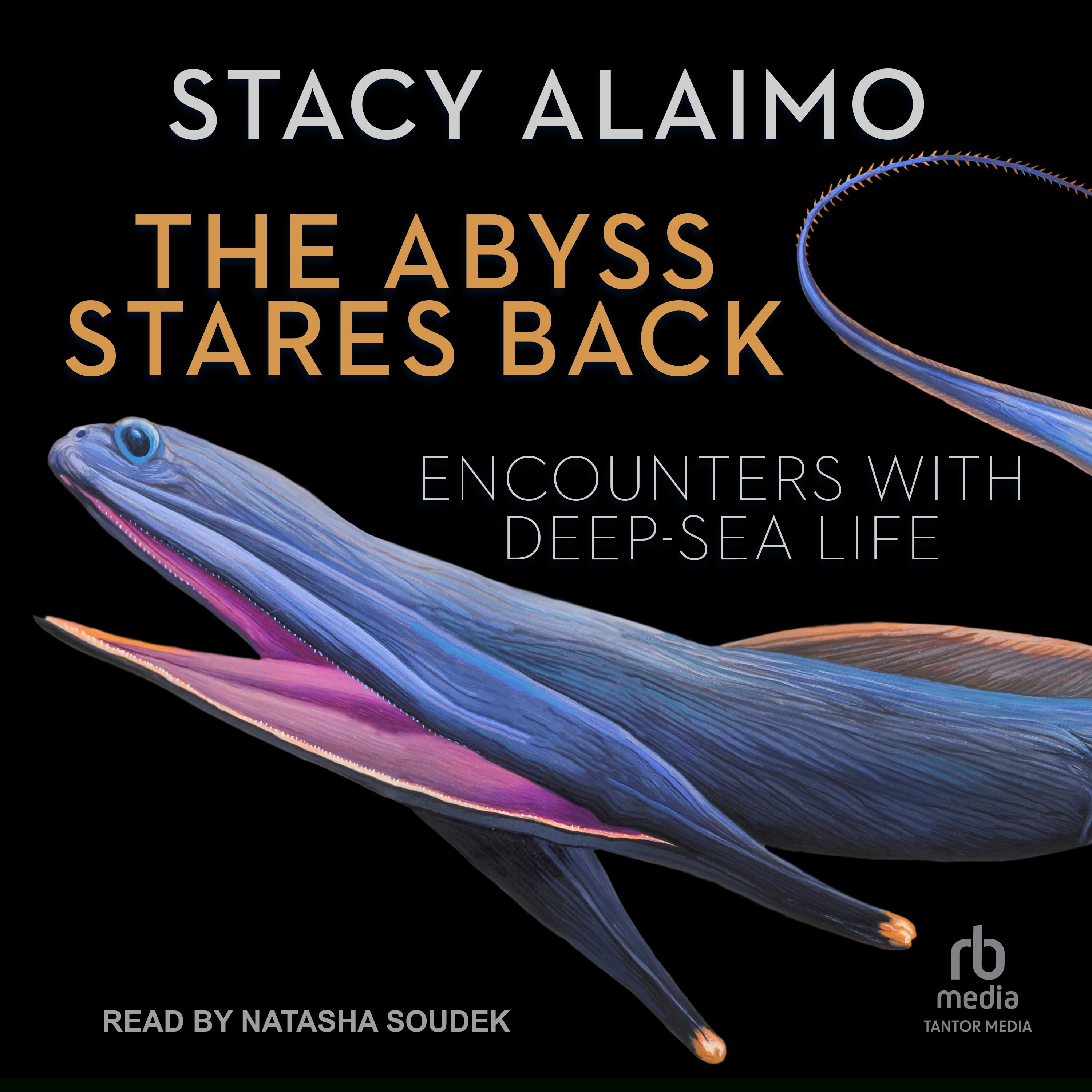 The Abyss Stares Back