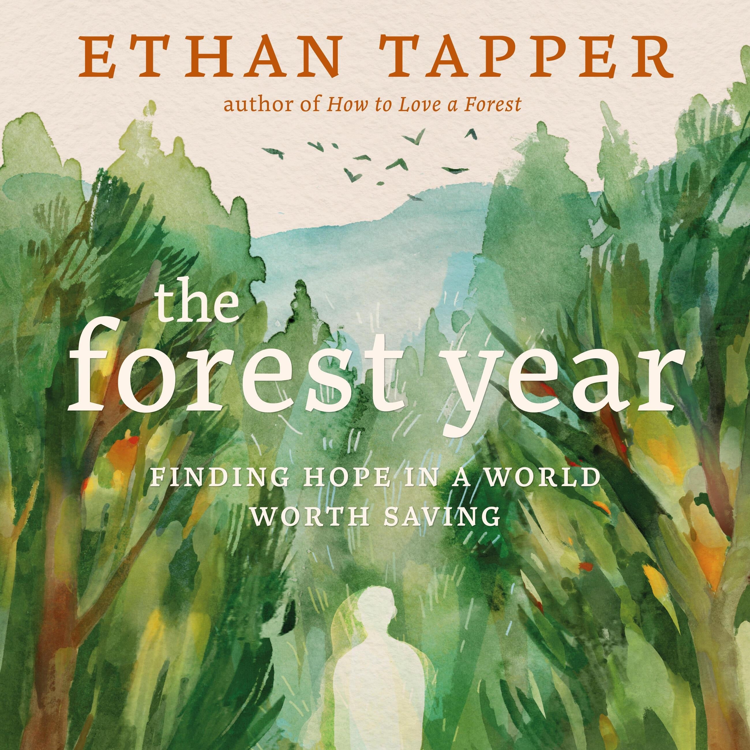 The Forest Year