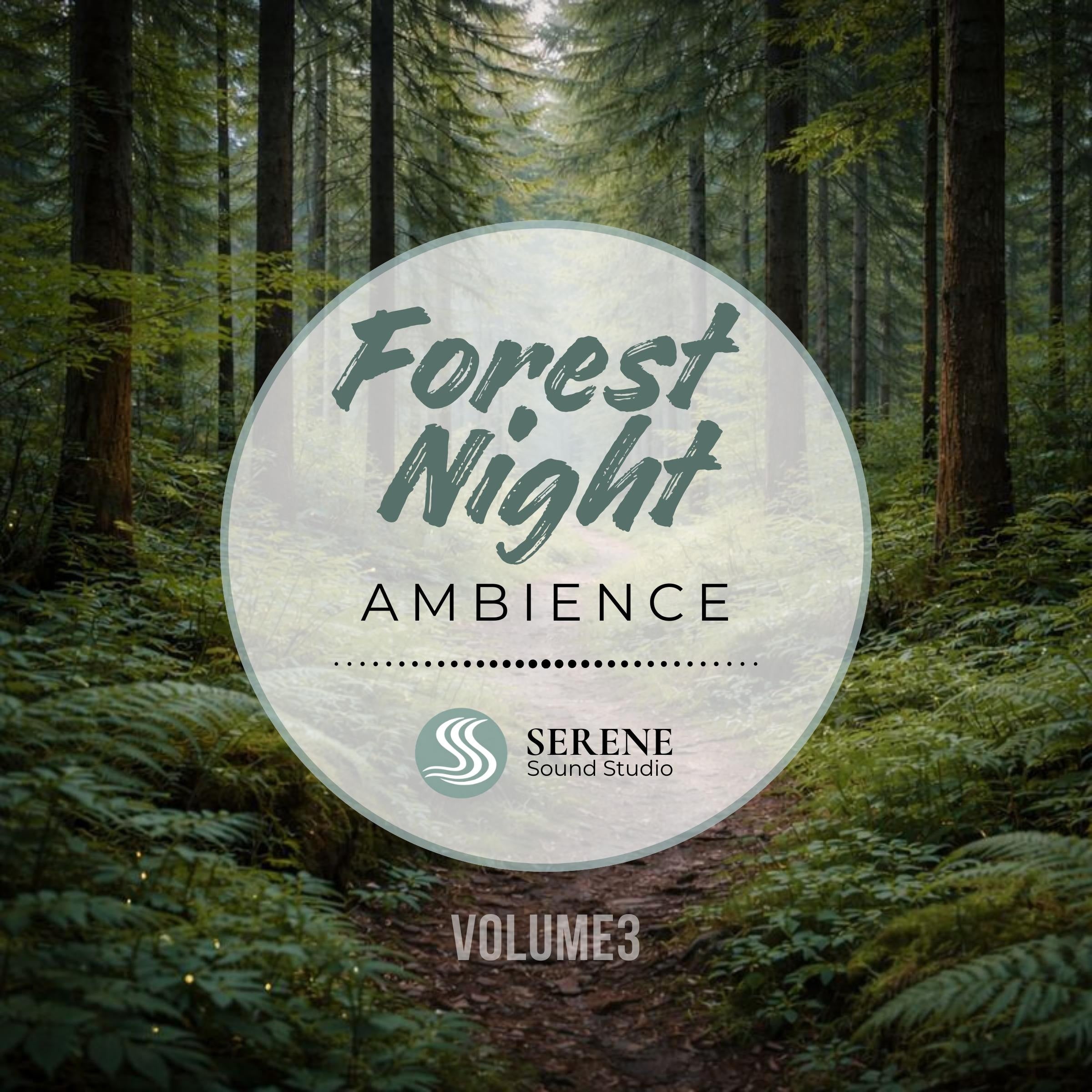 Forest Night Ambience