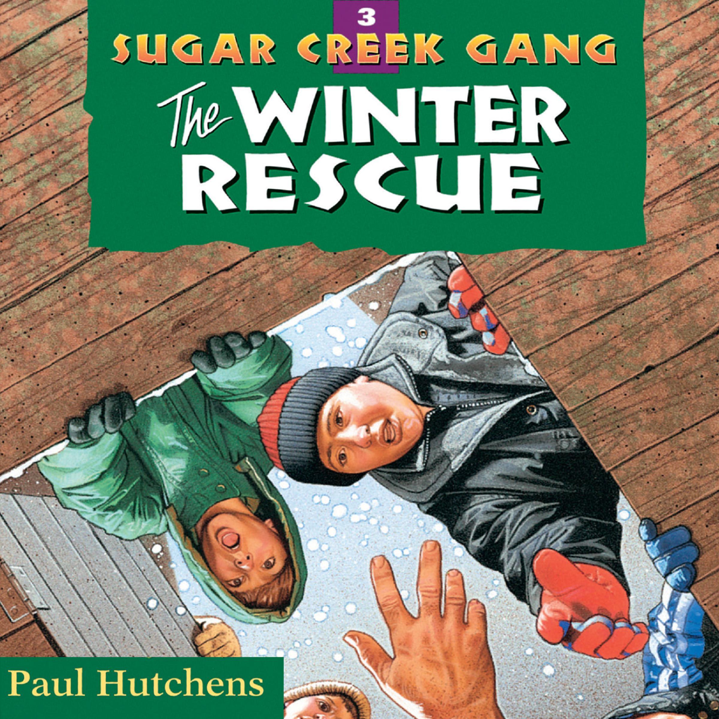 The Winter Rescue
