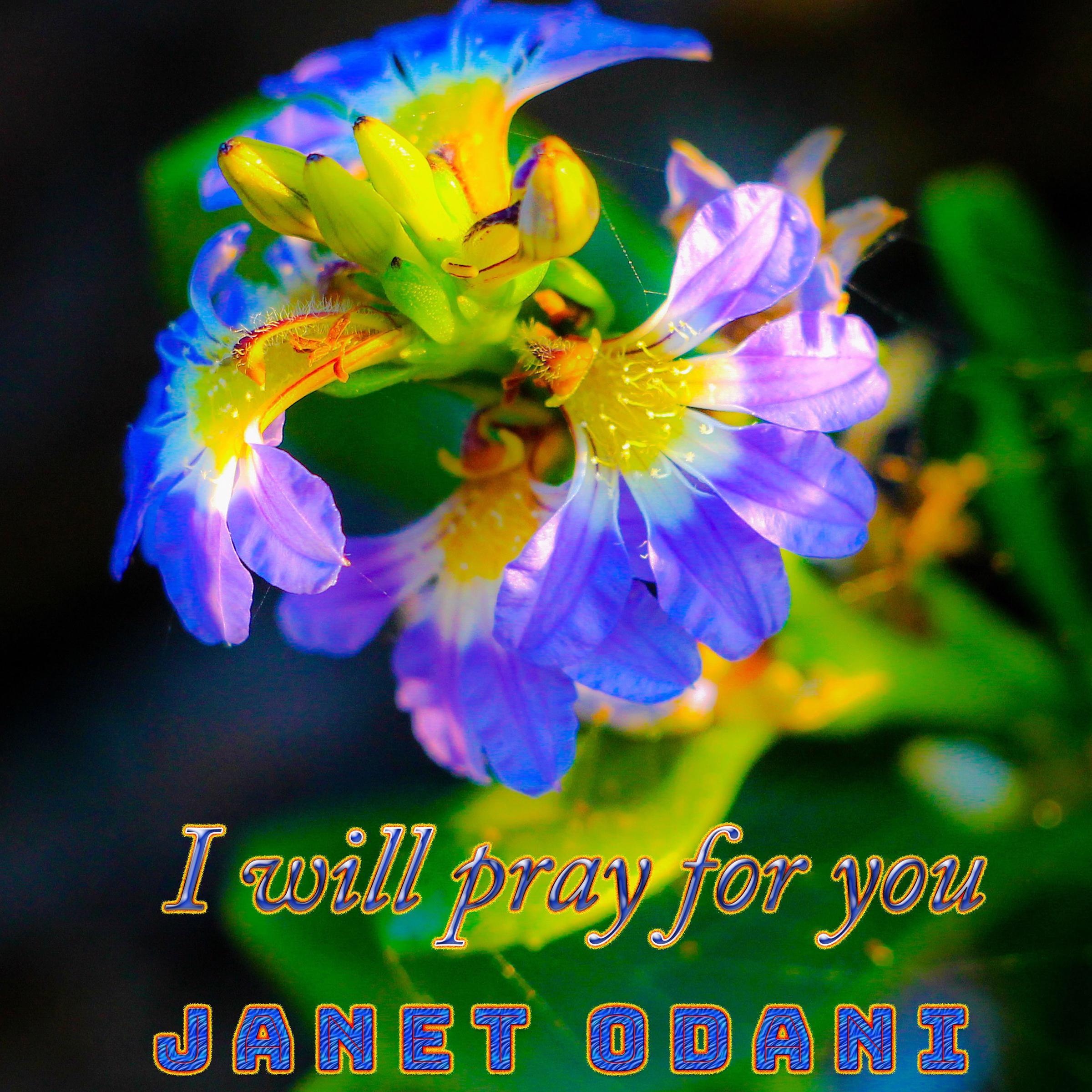 I Will Pray for You