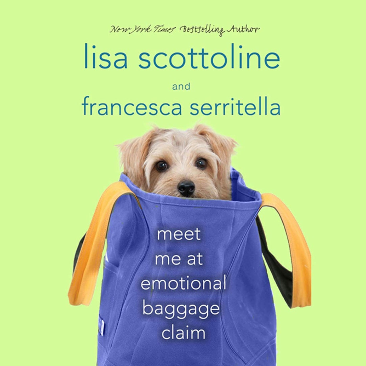Meet Me at Emotional Baggage Claim