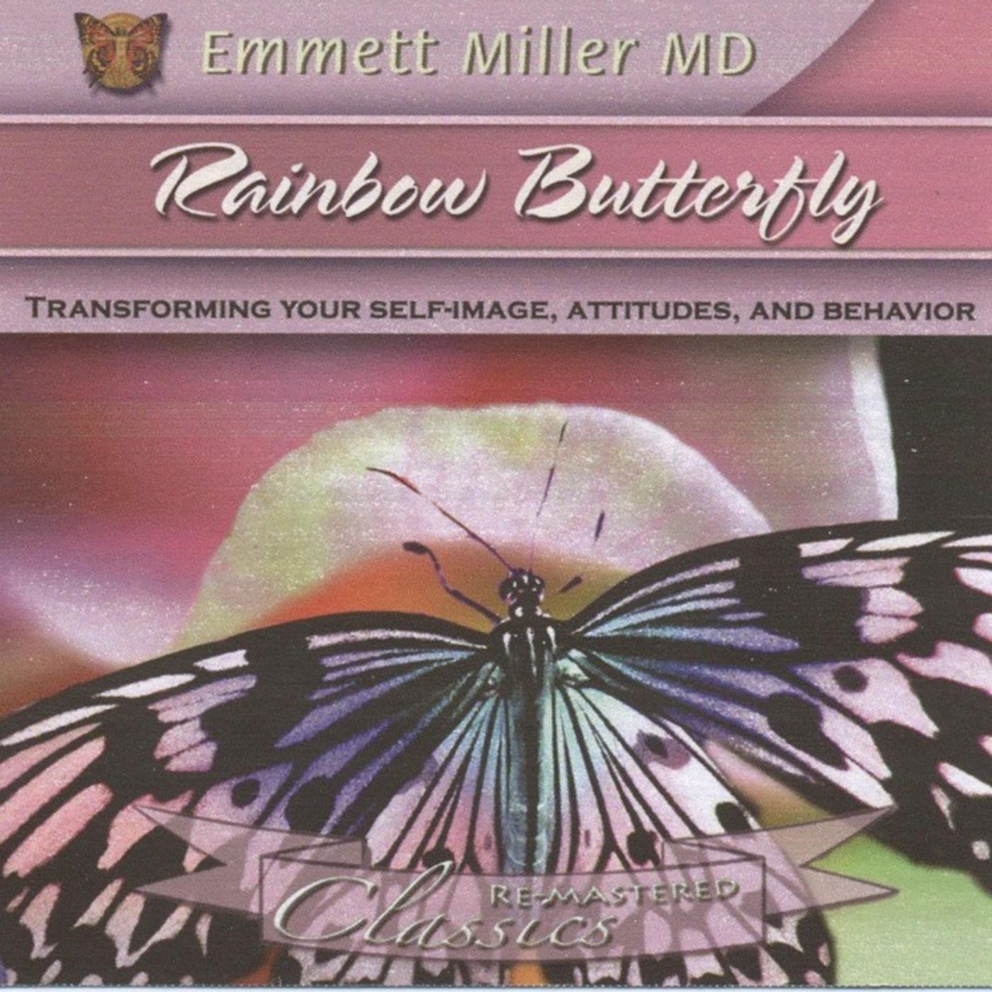 Rainbow Butterfly
