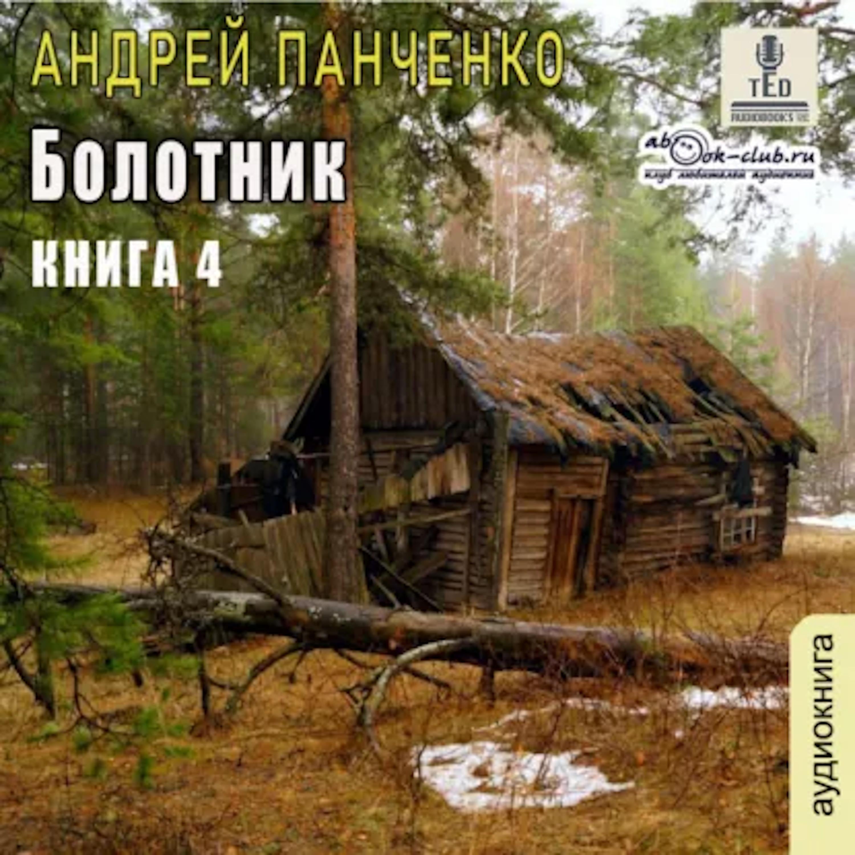 Андрей Панченко - Болотник. Книга 4.