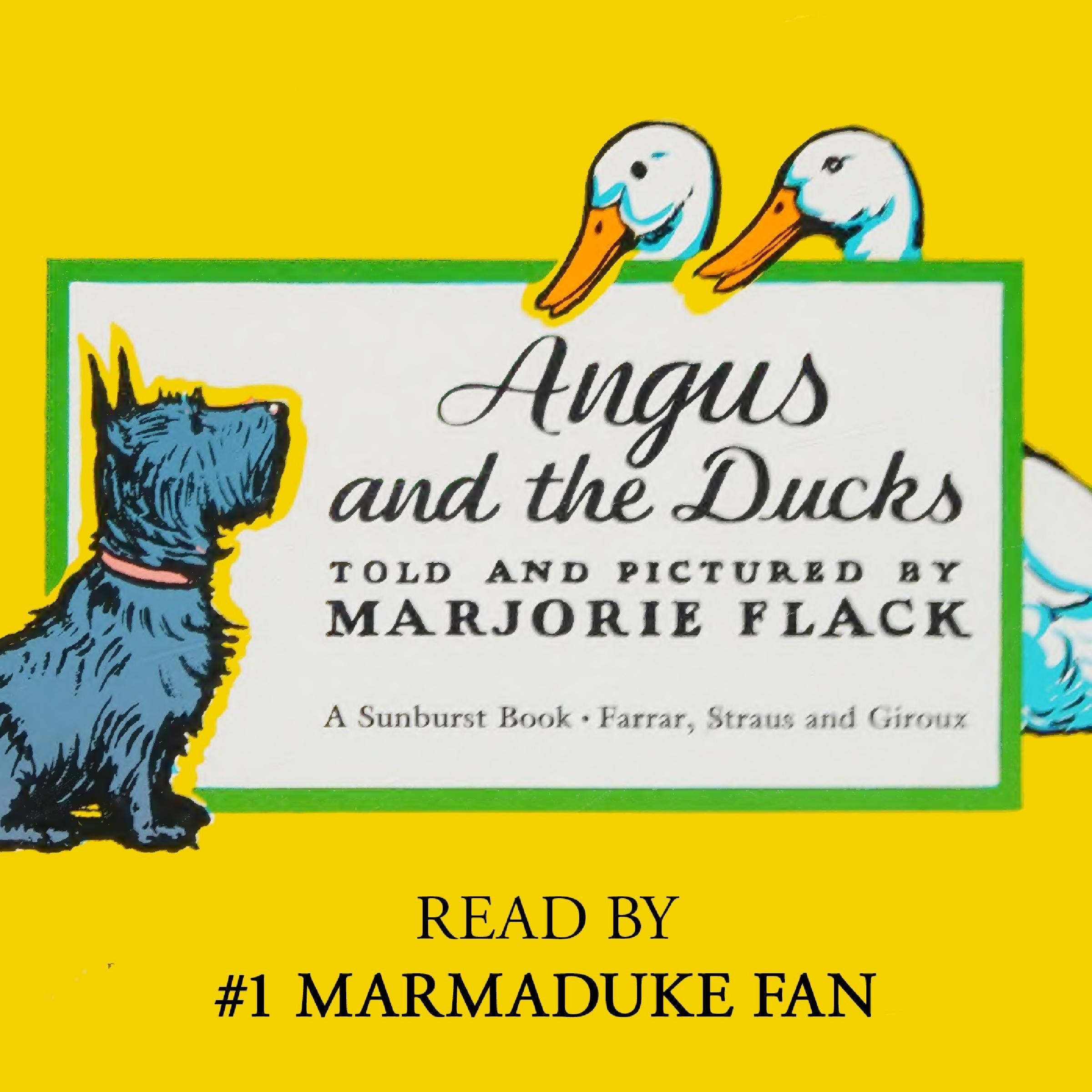 Angus and the Ducks