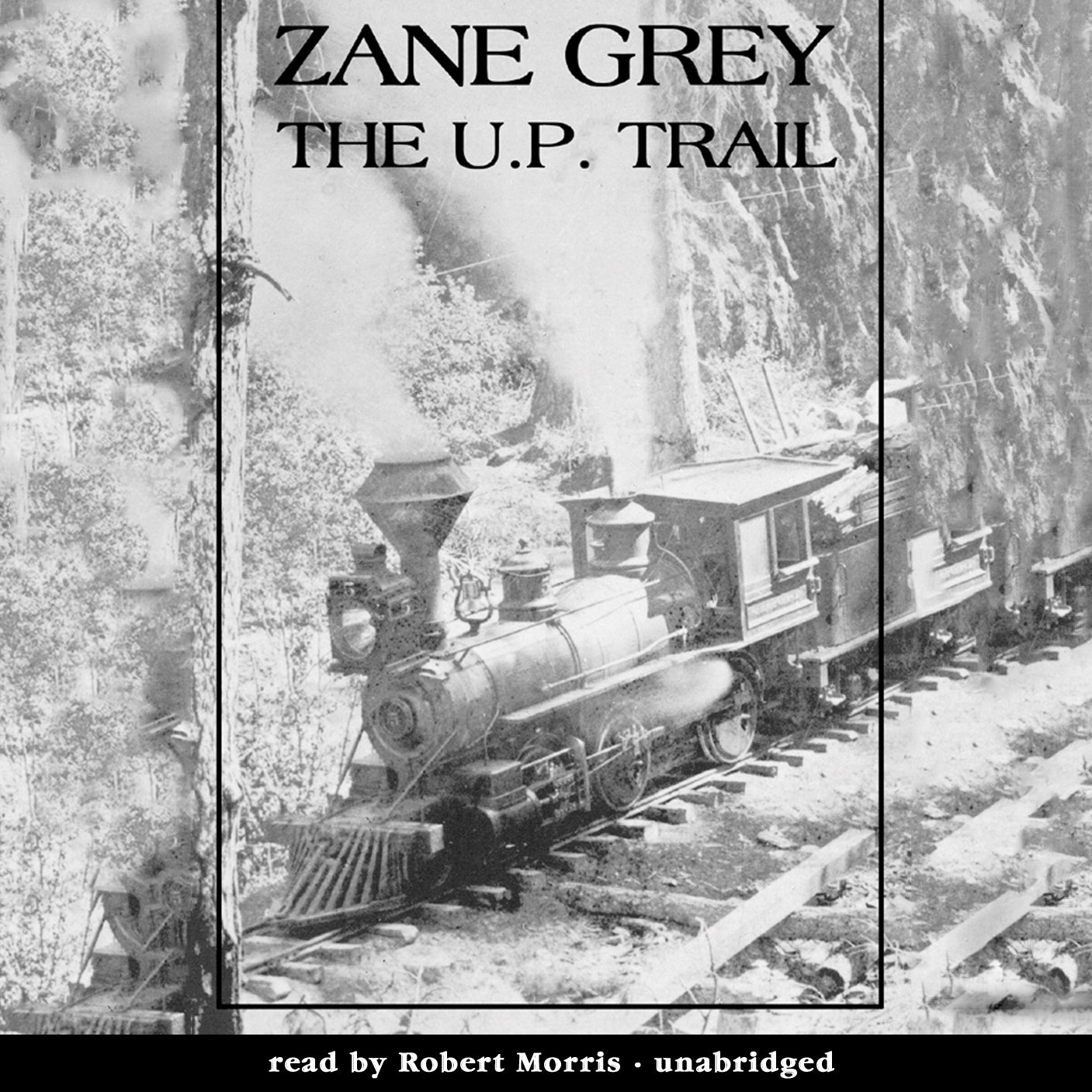 The U.P. Trail