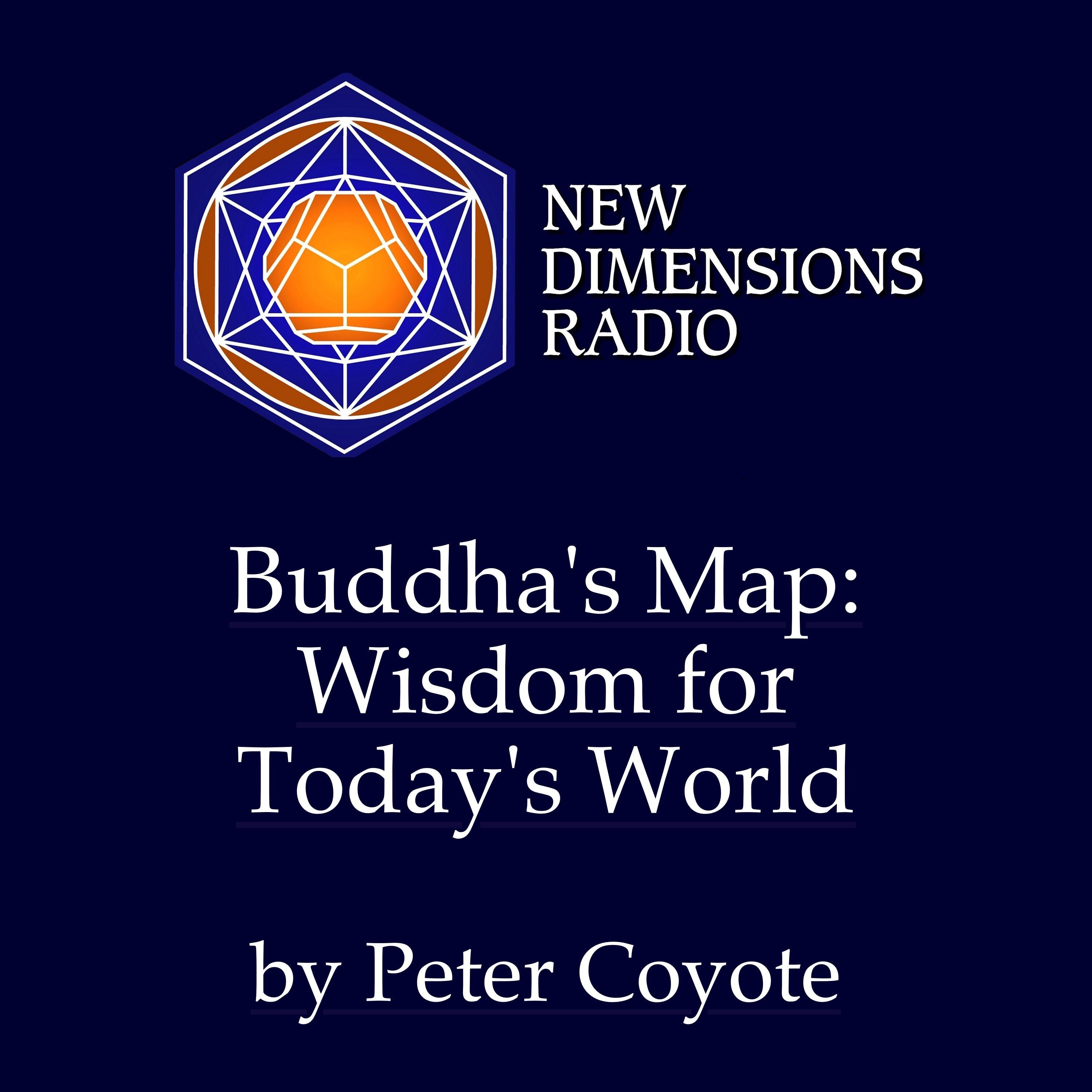 Buddha's Map: Wisdom for Today's World