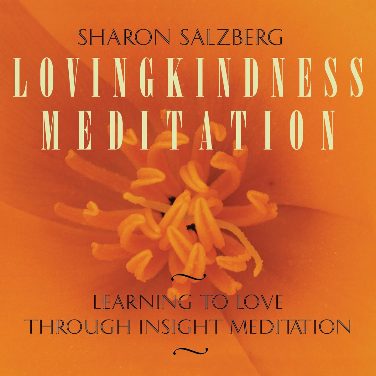 Lovingkindness Meditation