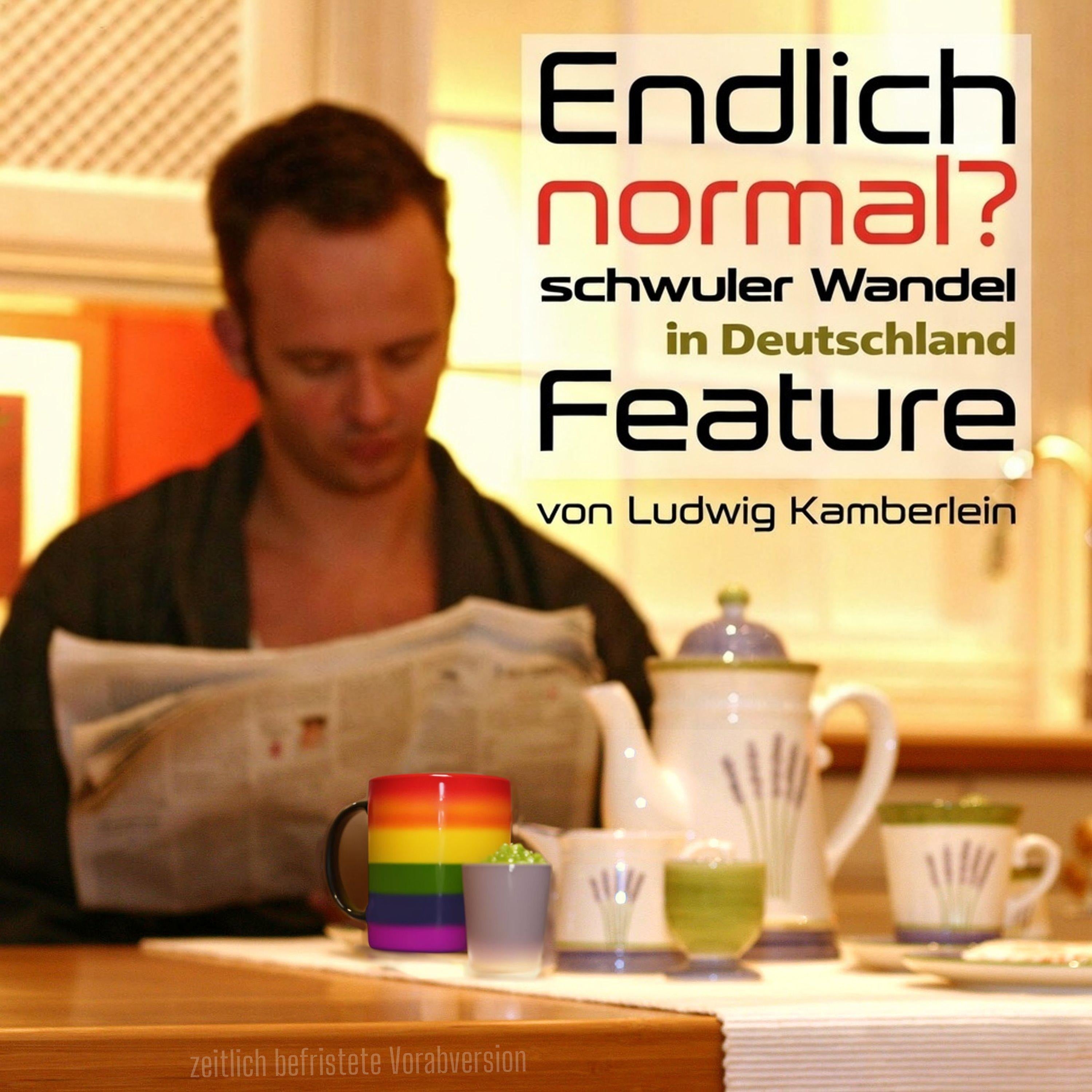 Endlich 'normal'? Schwuler Wandel in Deutschland