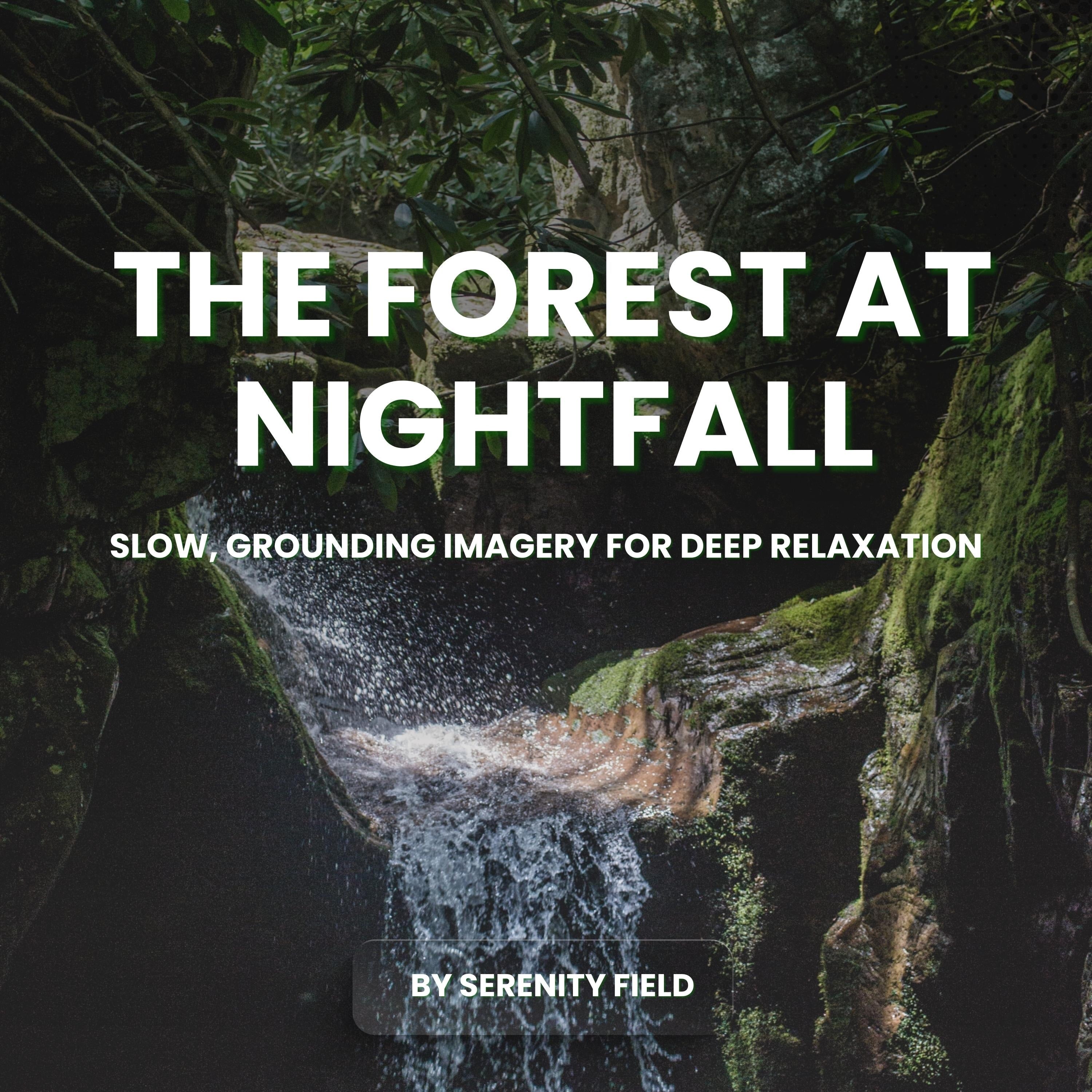 The Forest at Nightfall