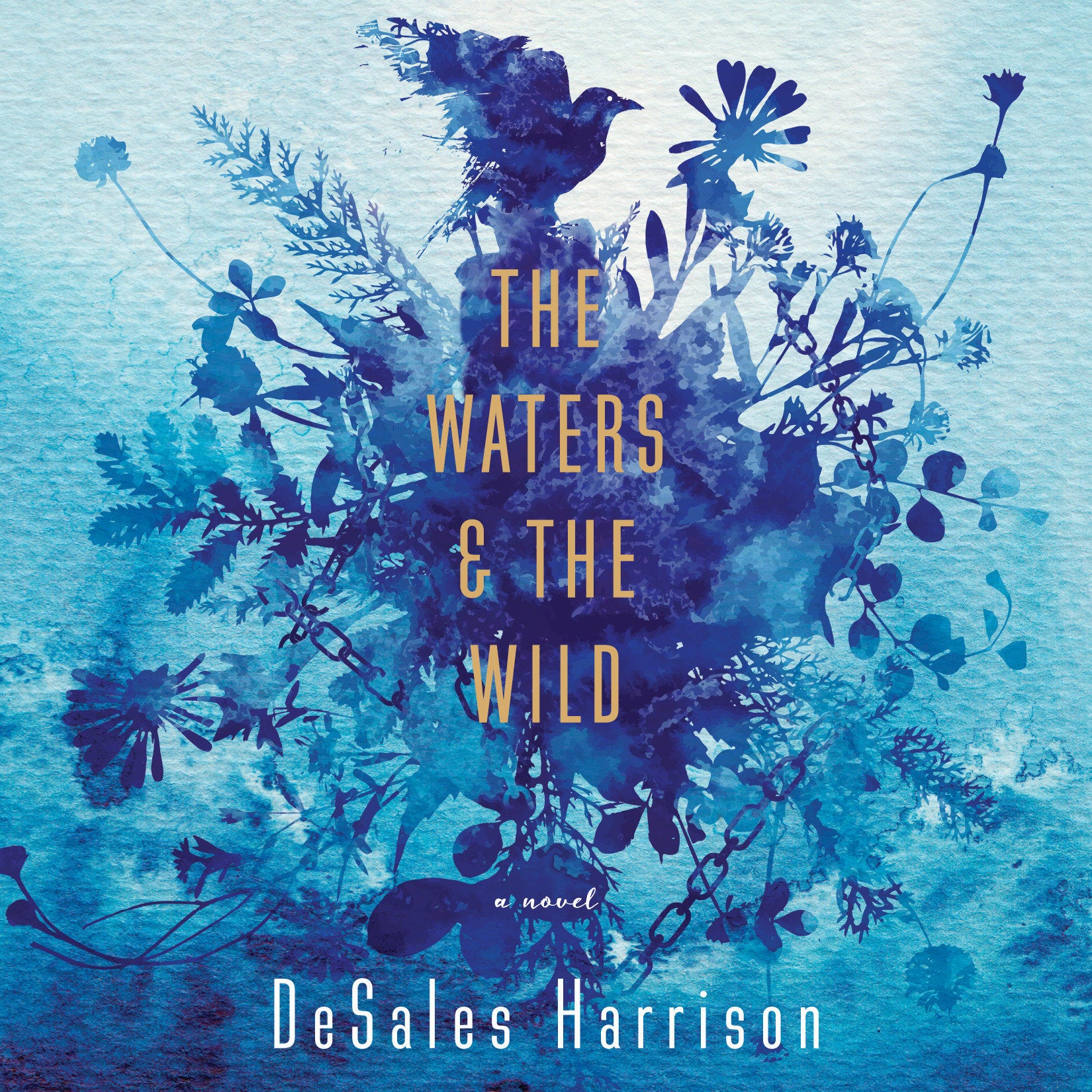 The Waters & The Wild