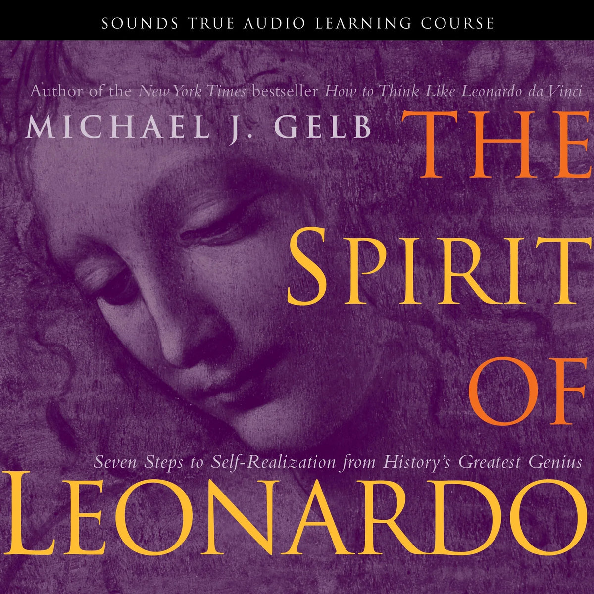 The Spirit of Leonardo