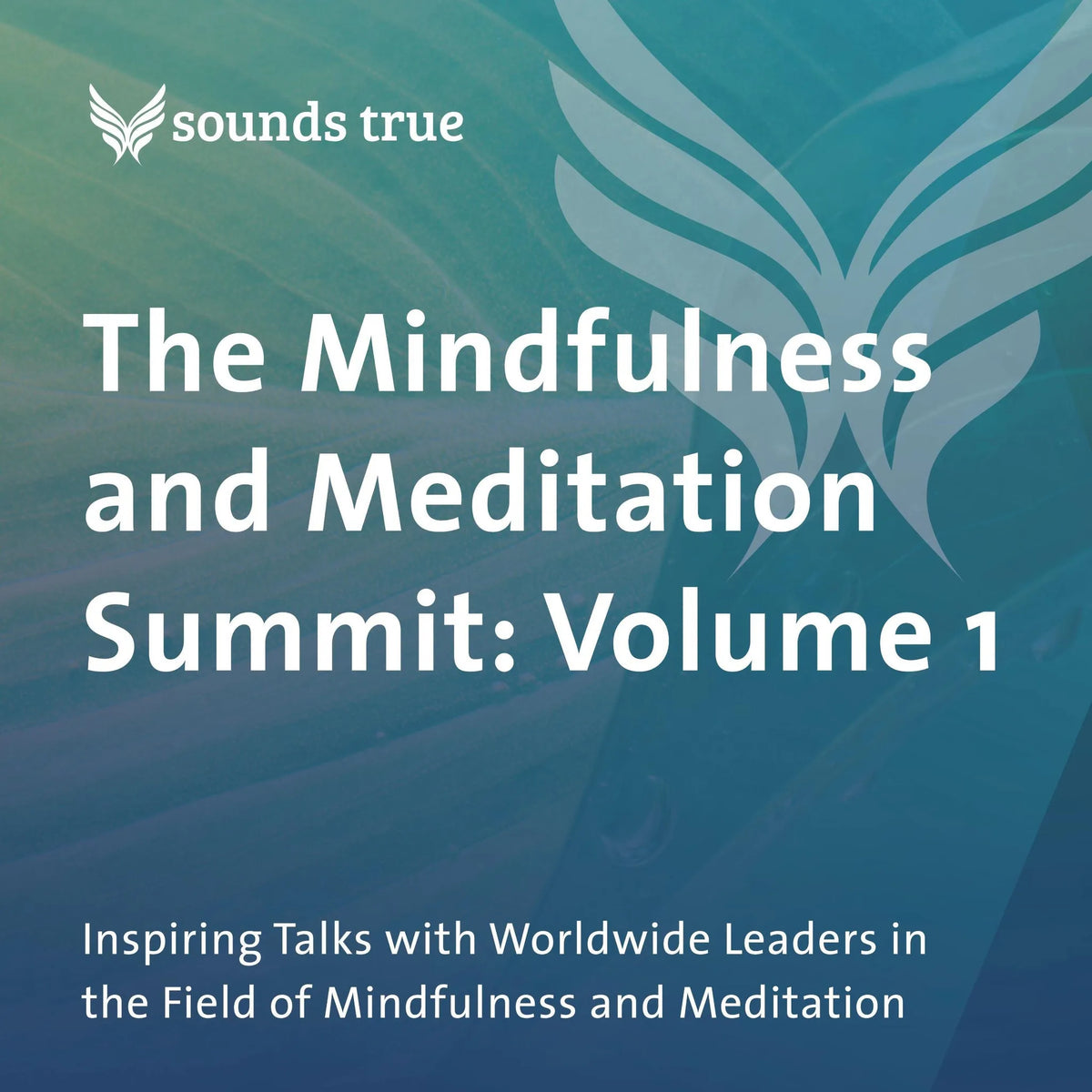 The Mindfulness and Meditation Summit: Volume 1
