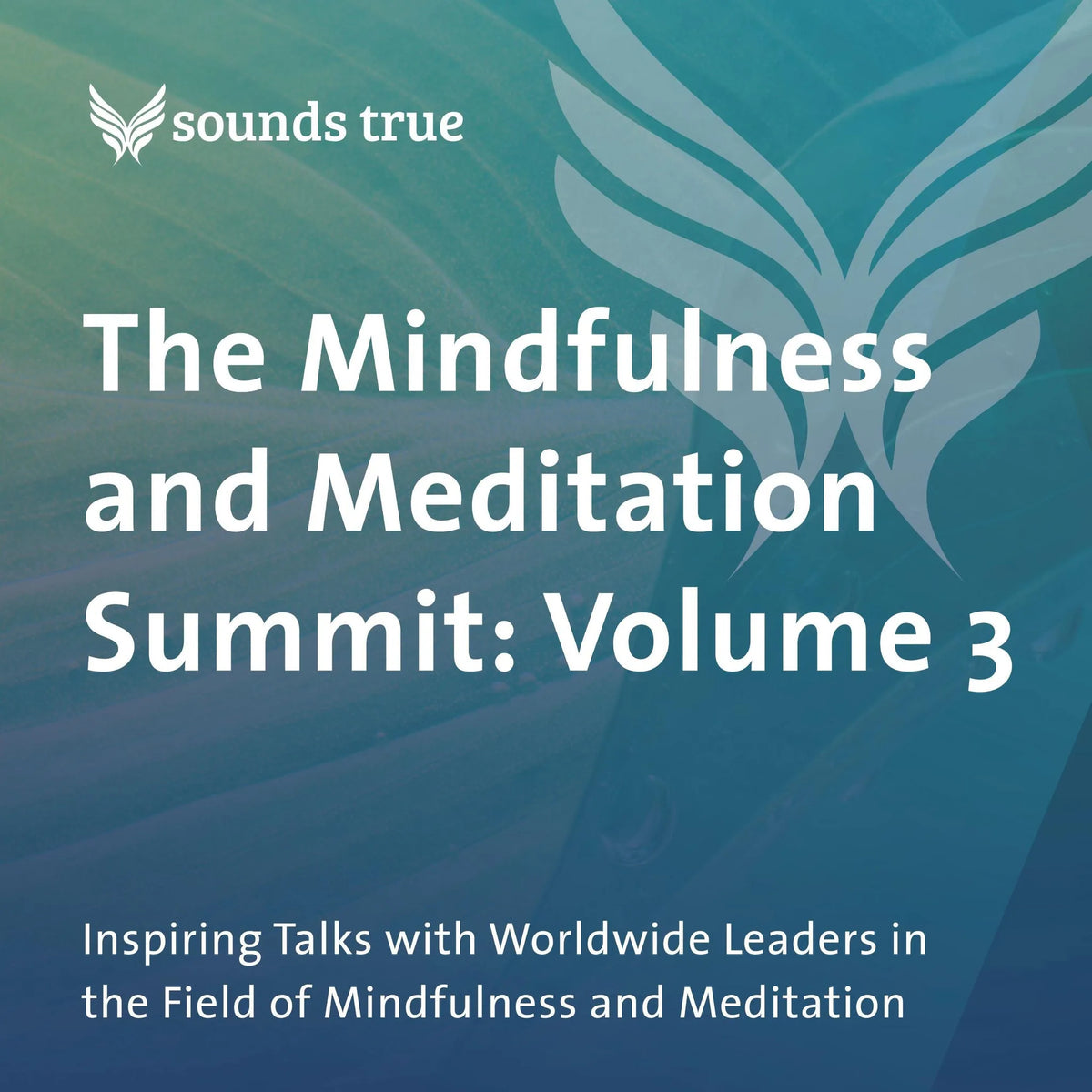 The Mindfulness and Meditation Summit: Volume 3